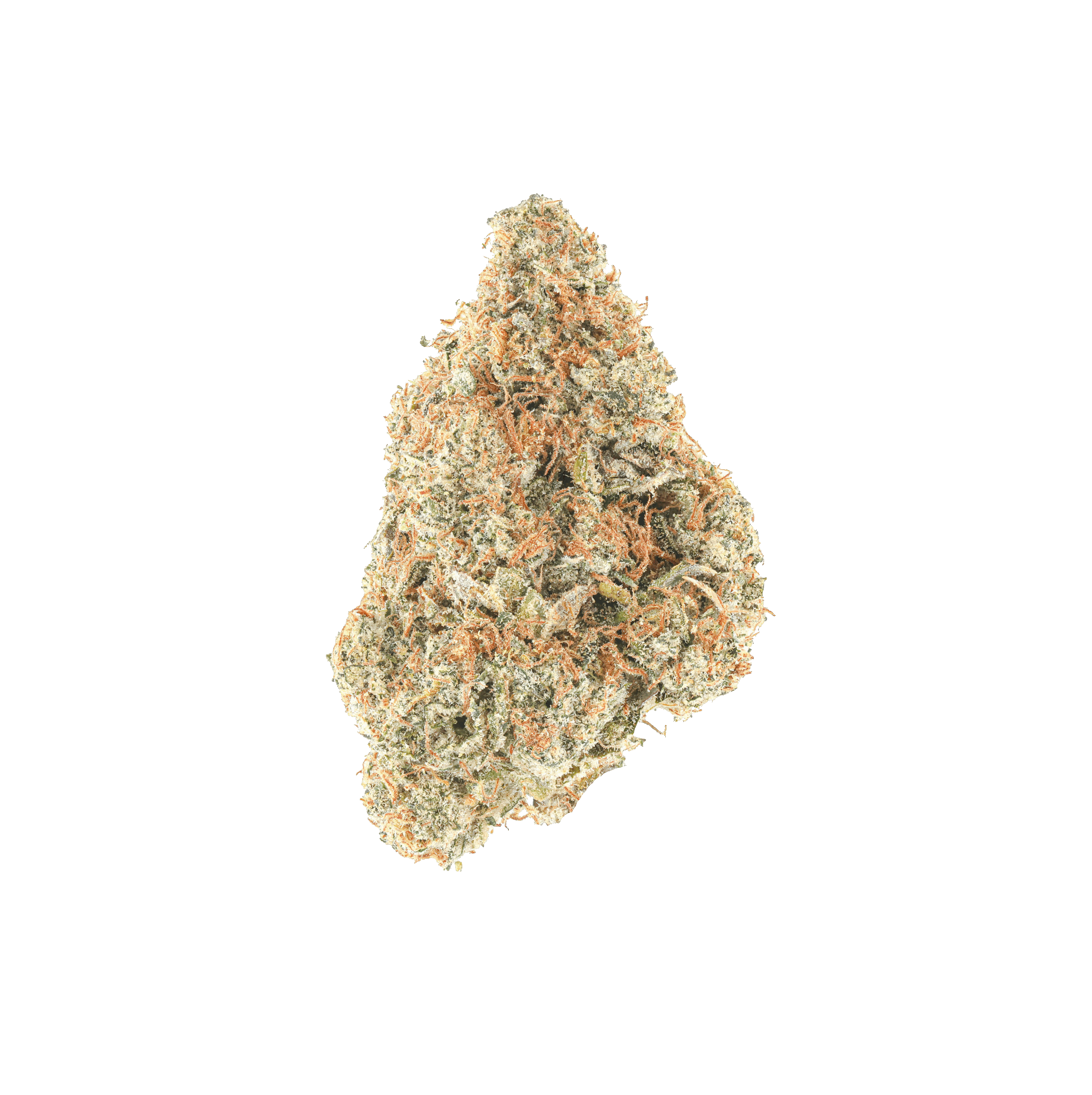 Lemon Tree