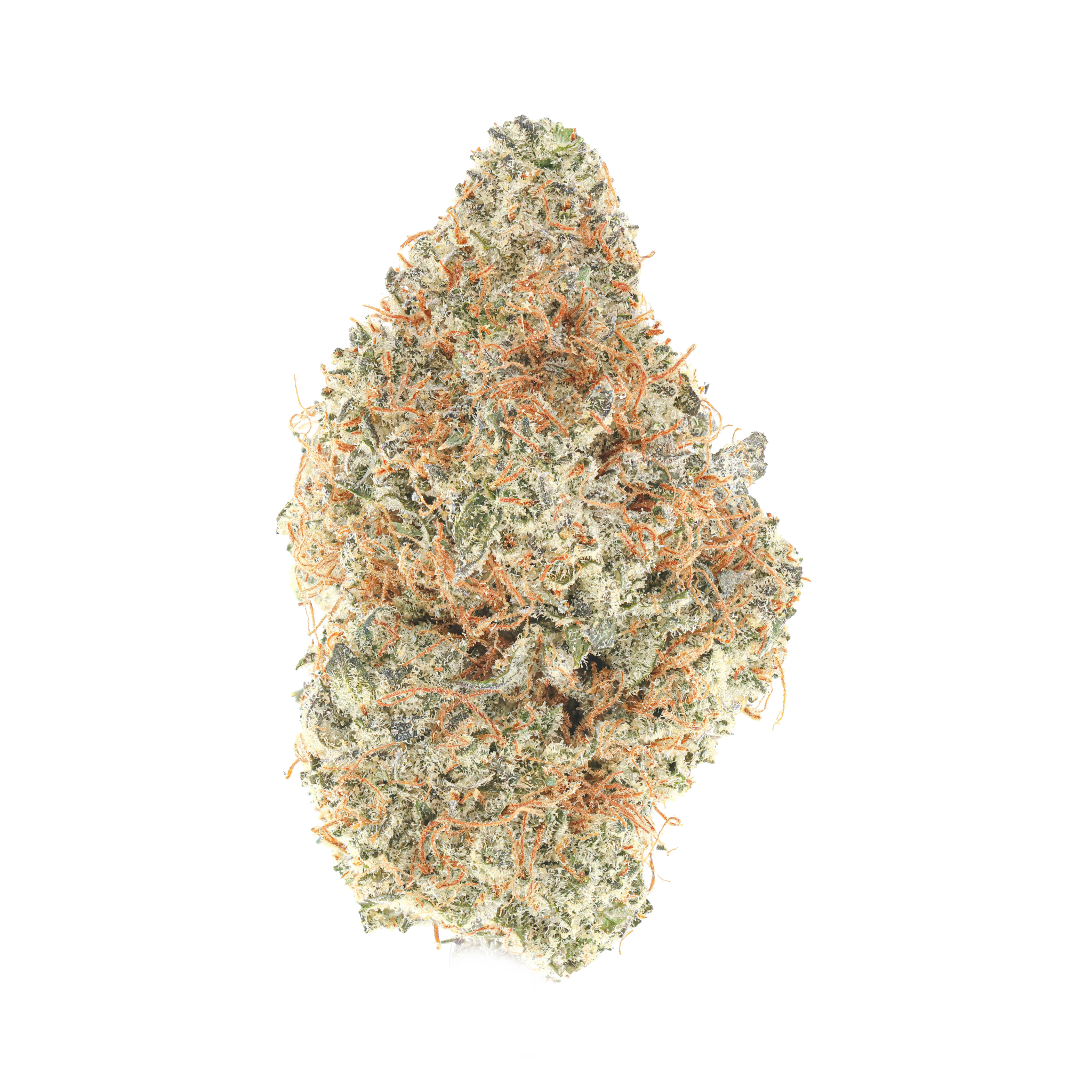 Lemon Z-Funk #8