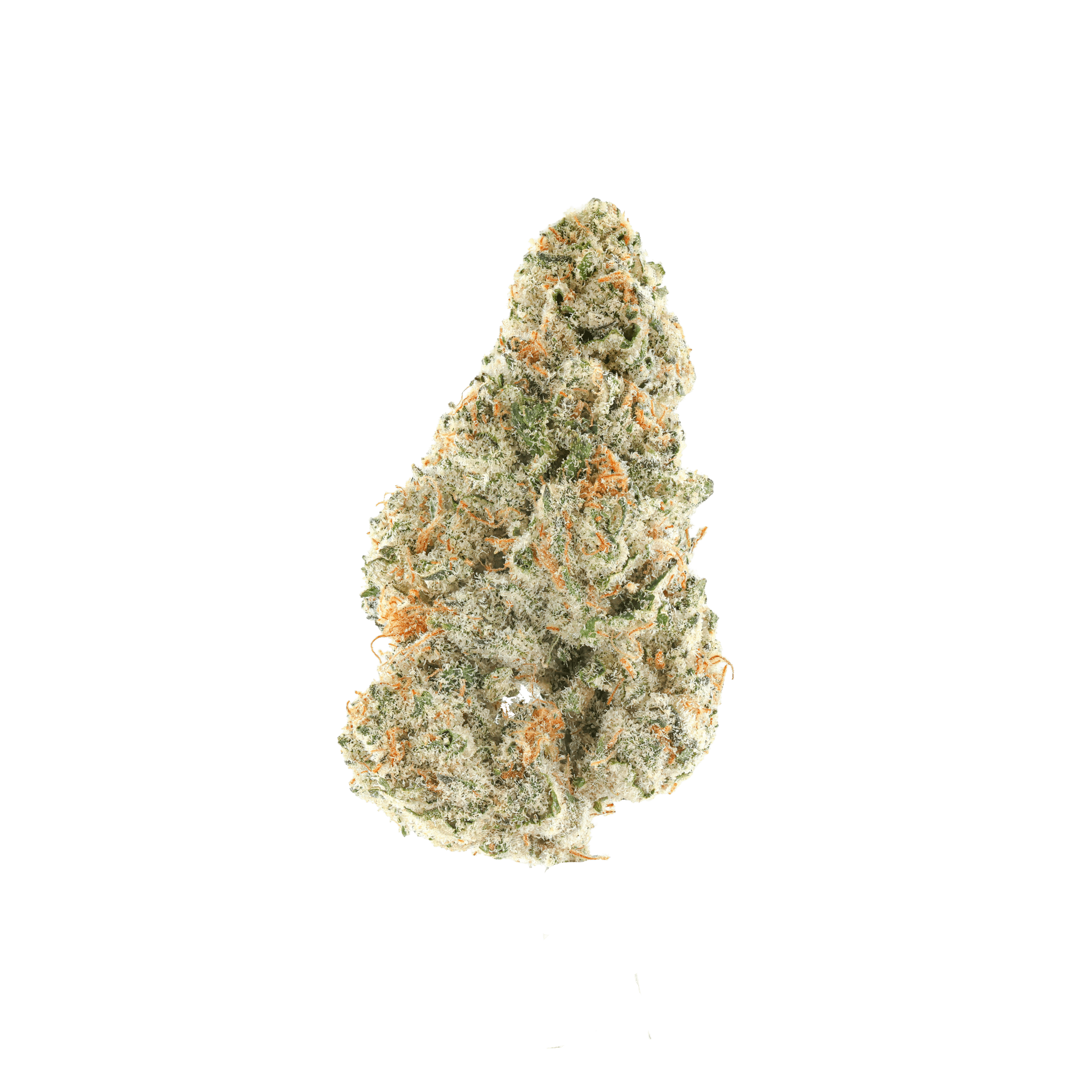 Lemon Tree x OZK