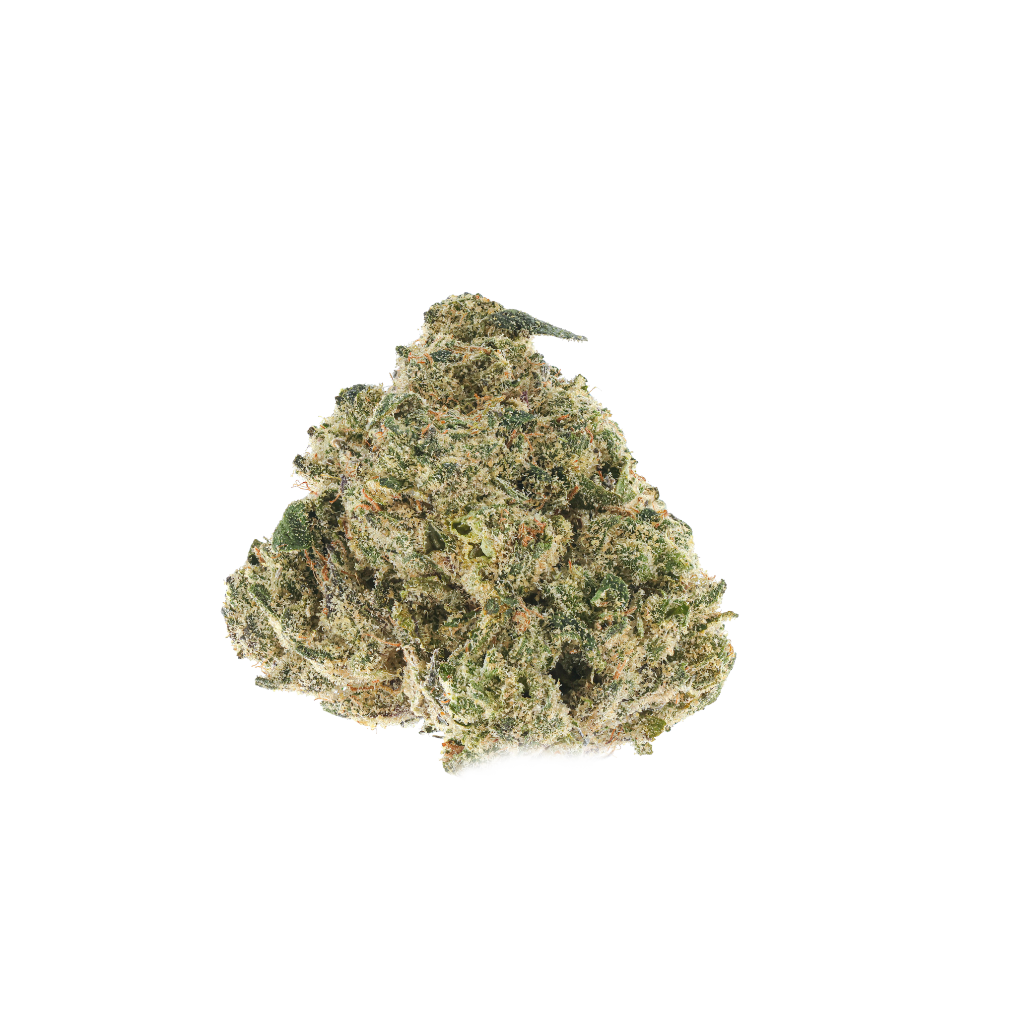 Melon