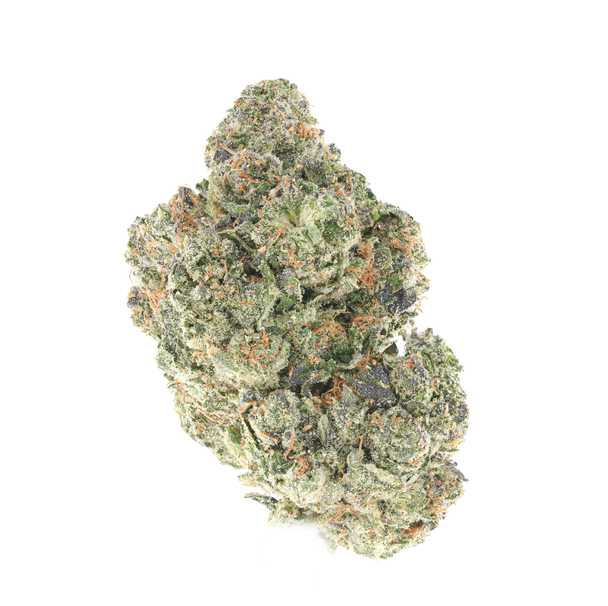 Mojitoad