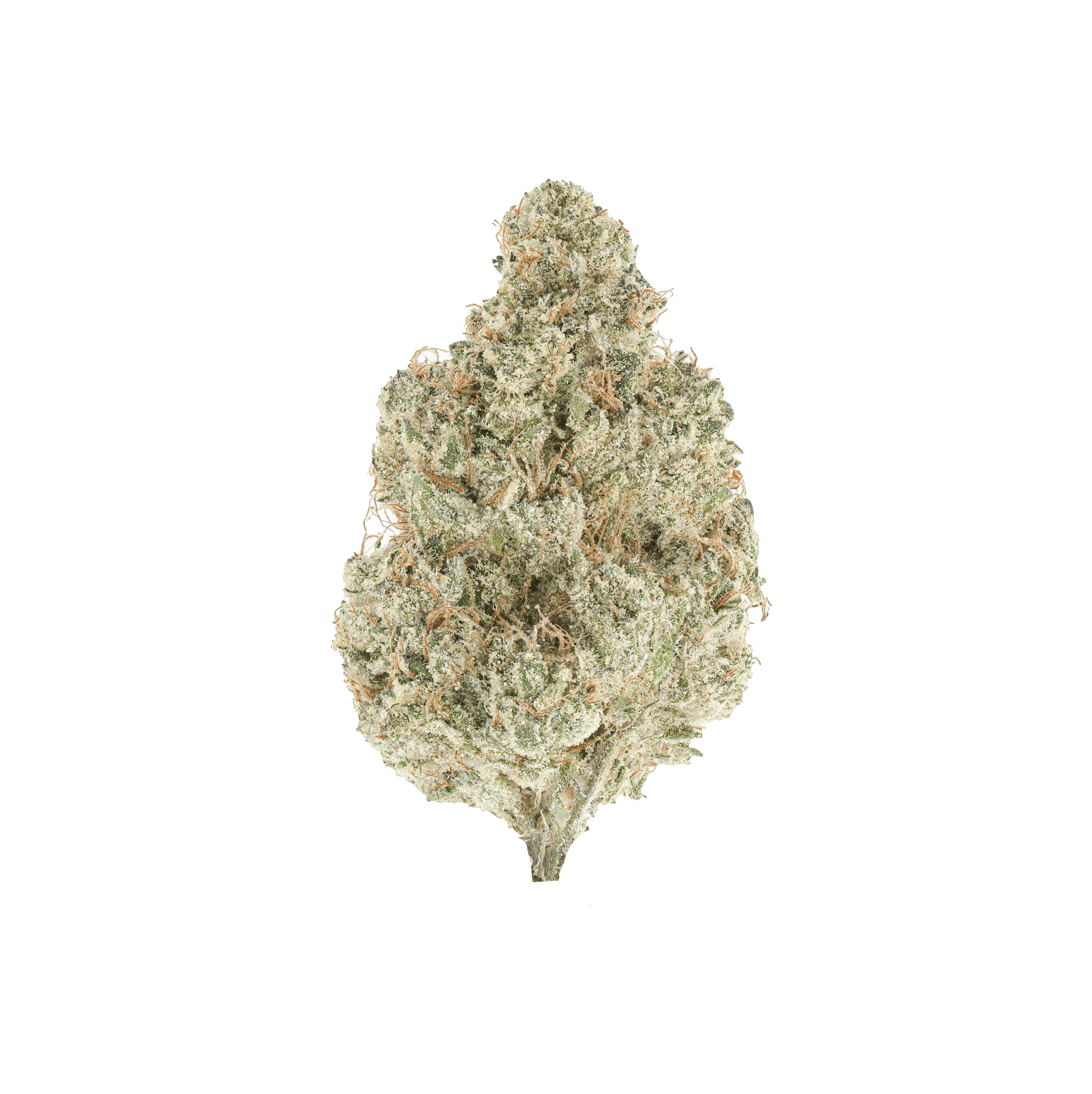 Moon Pie