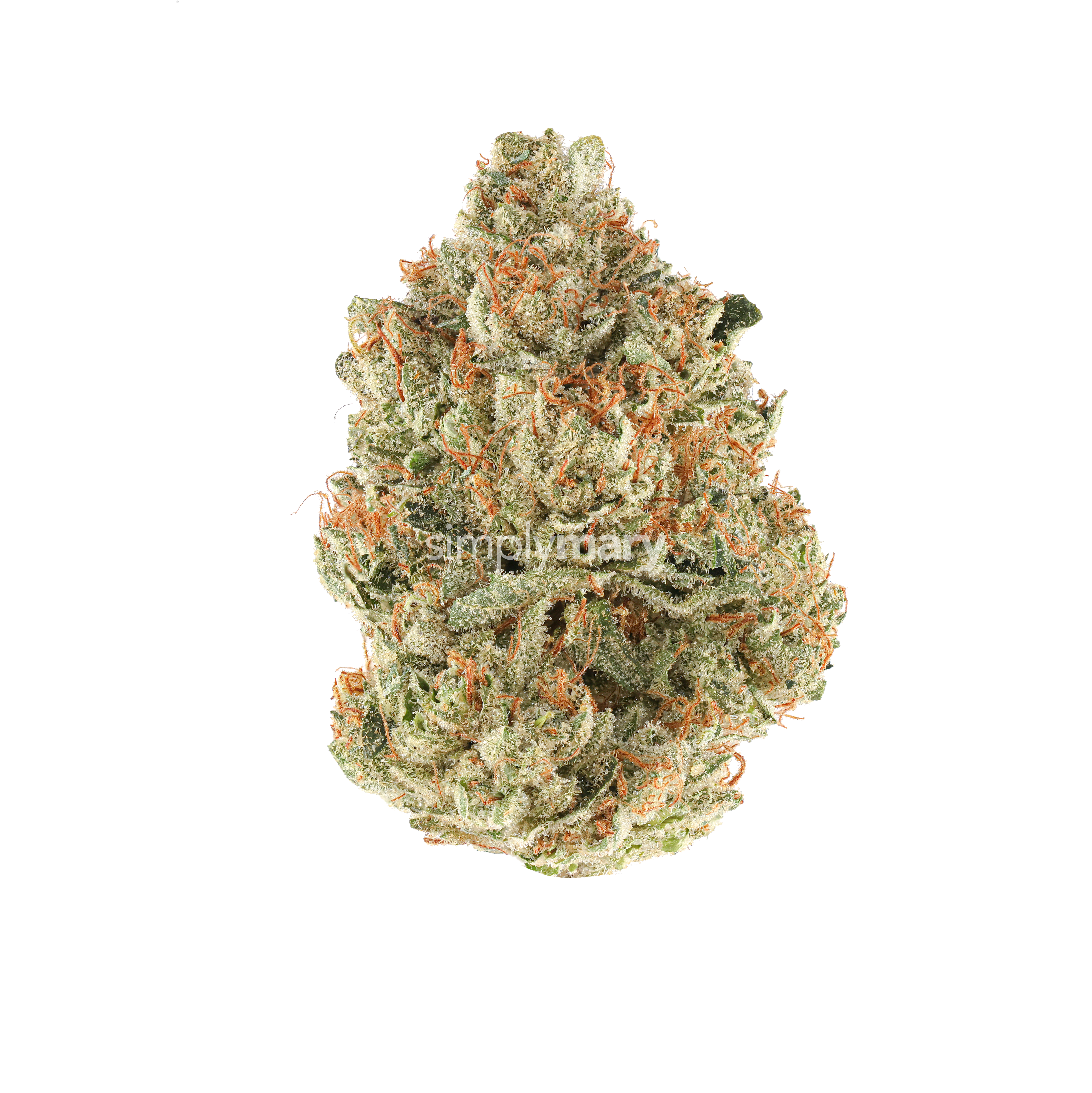 Motorbreath OG