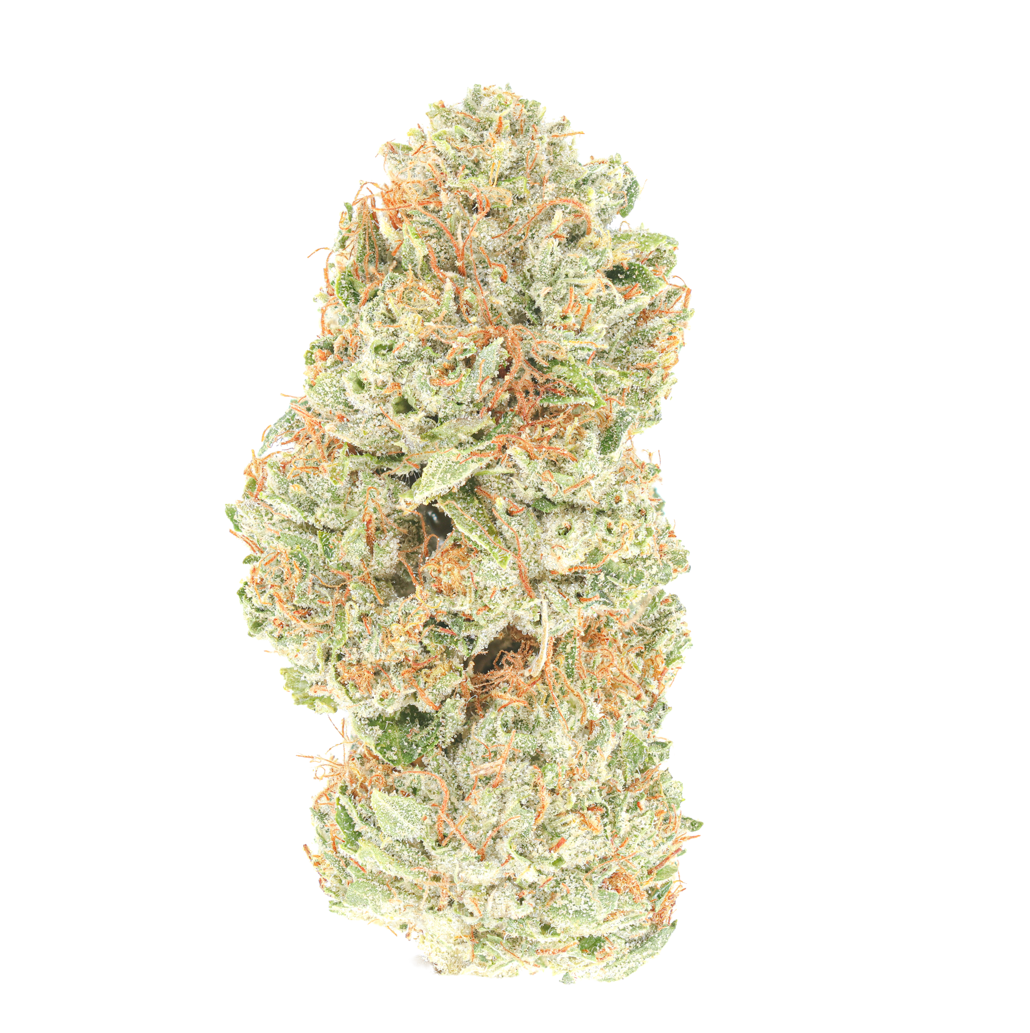 Mr.Mayhem