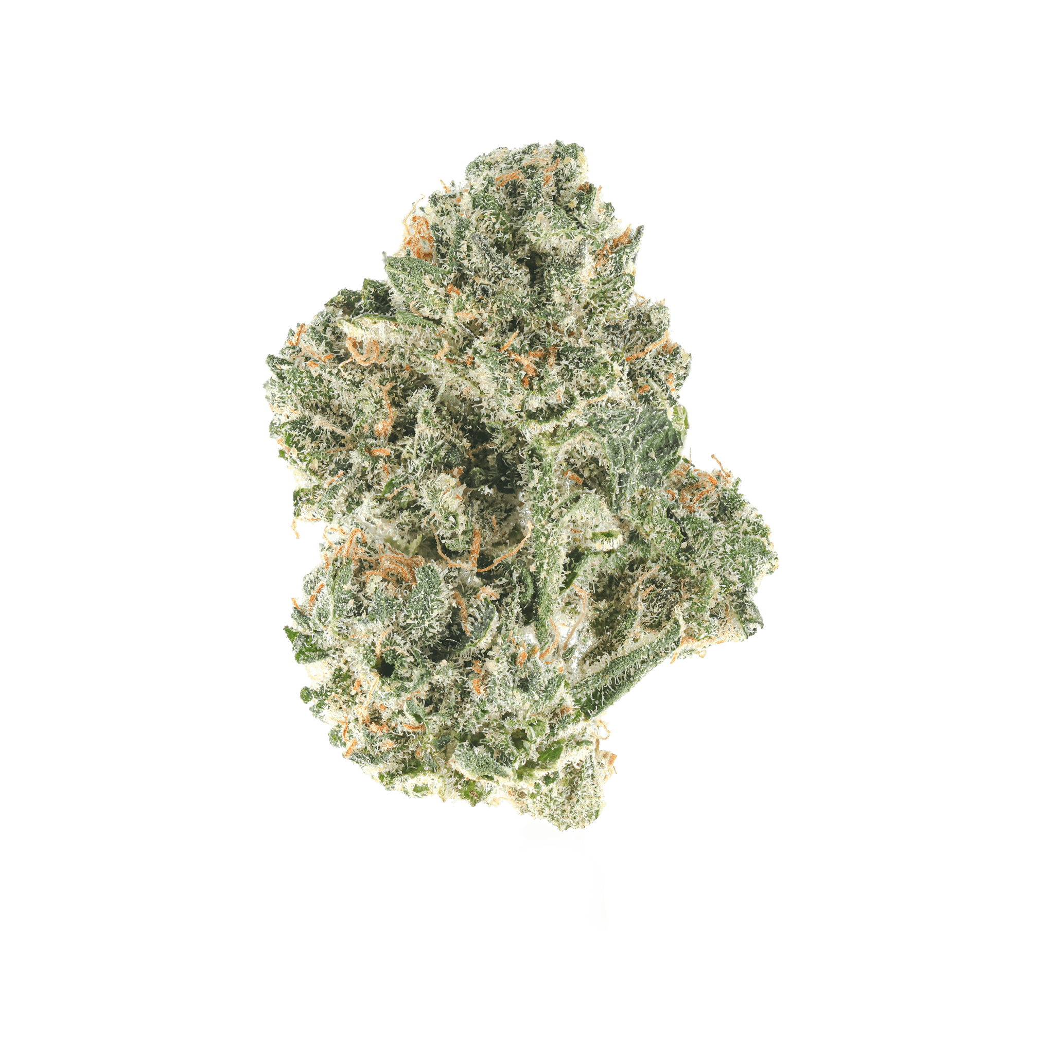 Nü Haze