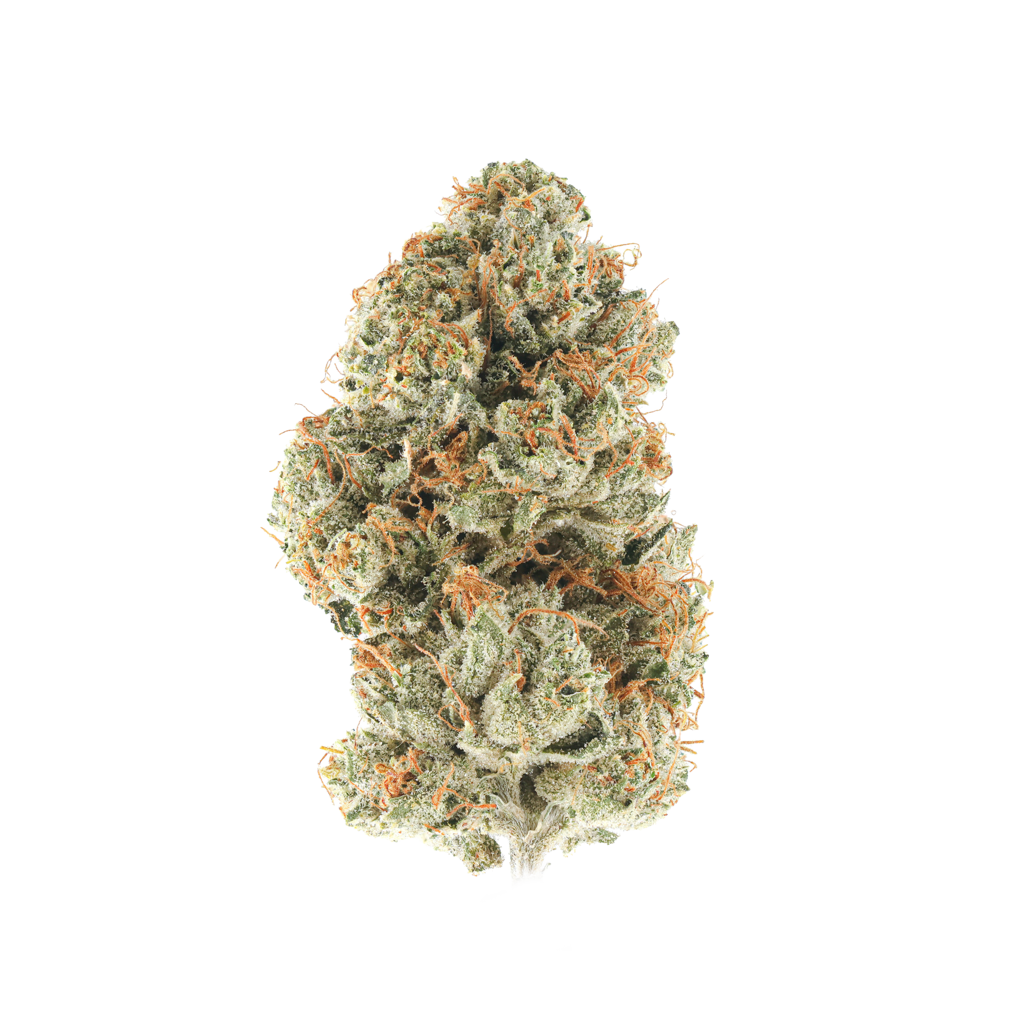 OG Kush