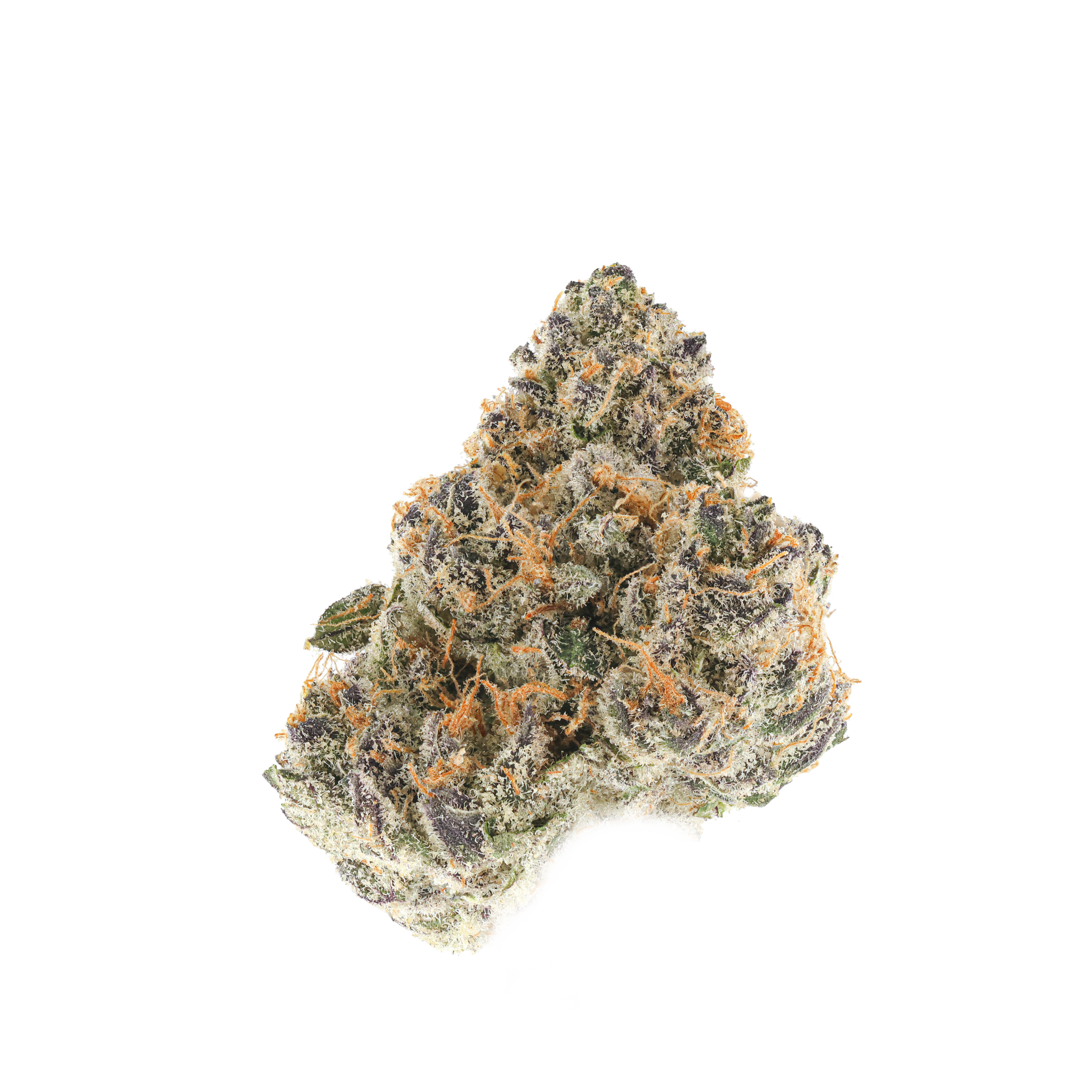 Orange Starburst