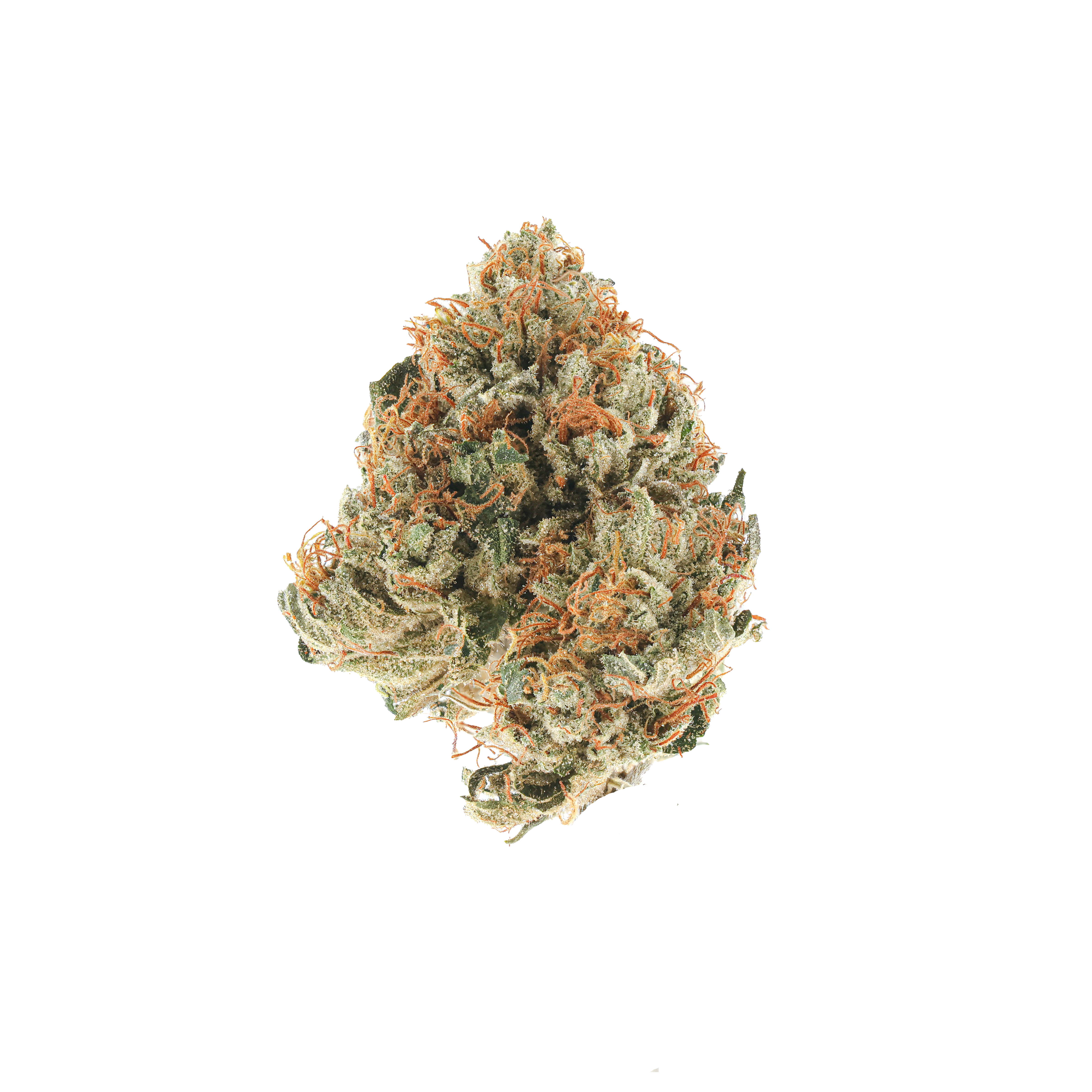 Orca OG
