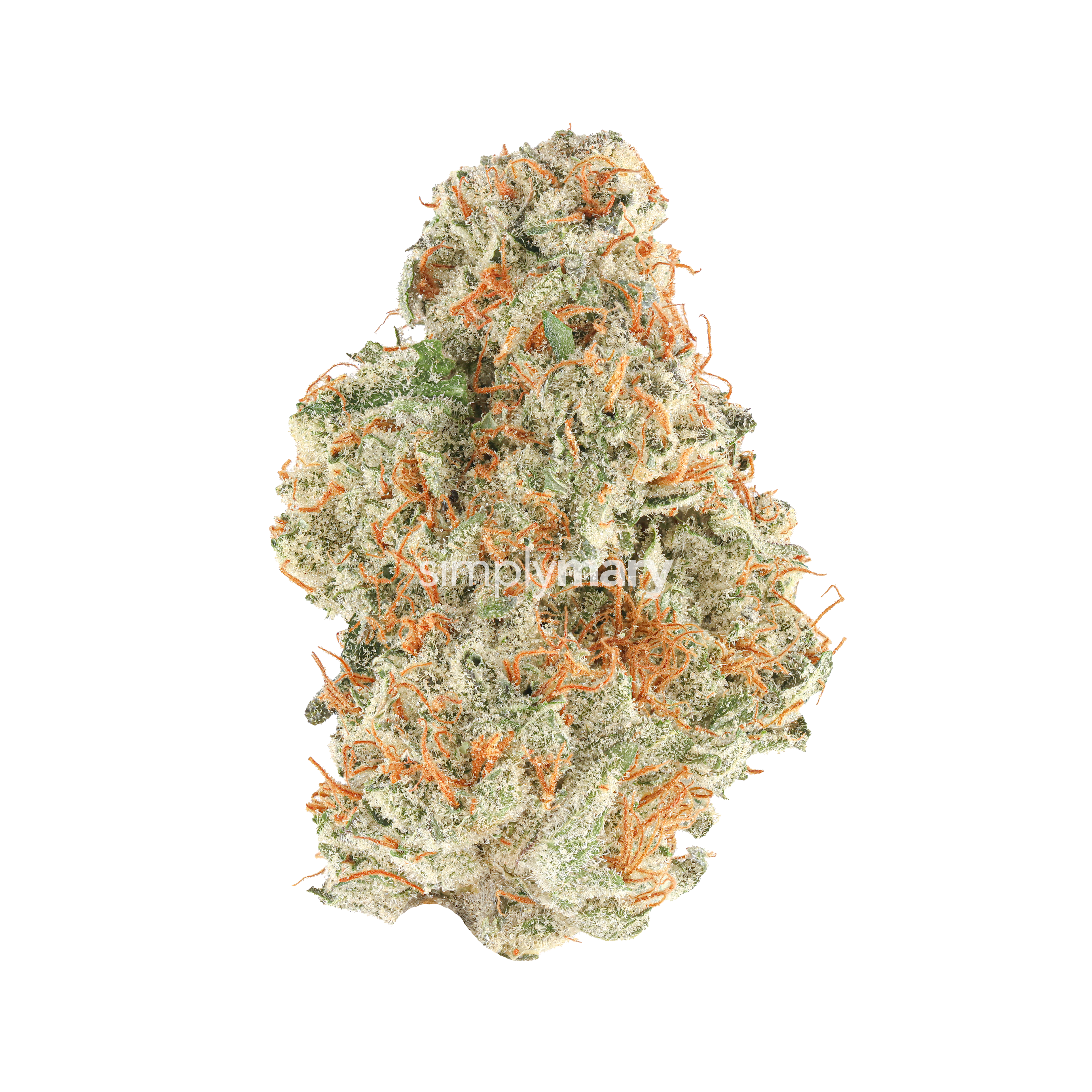 Orange Tangie Cane