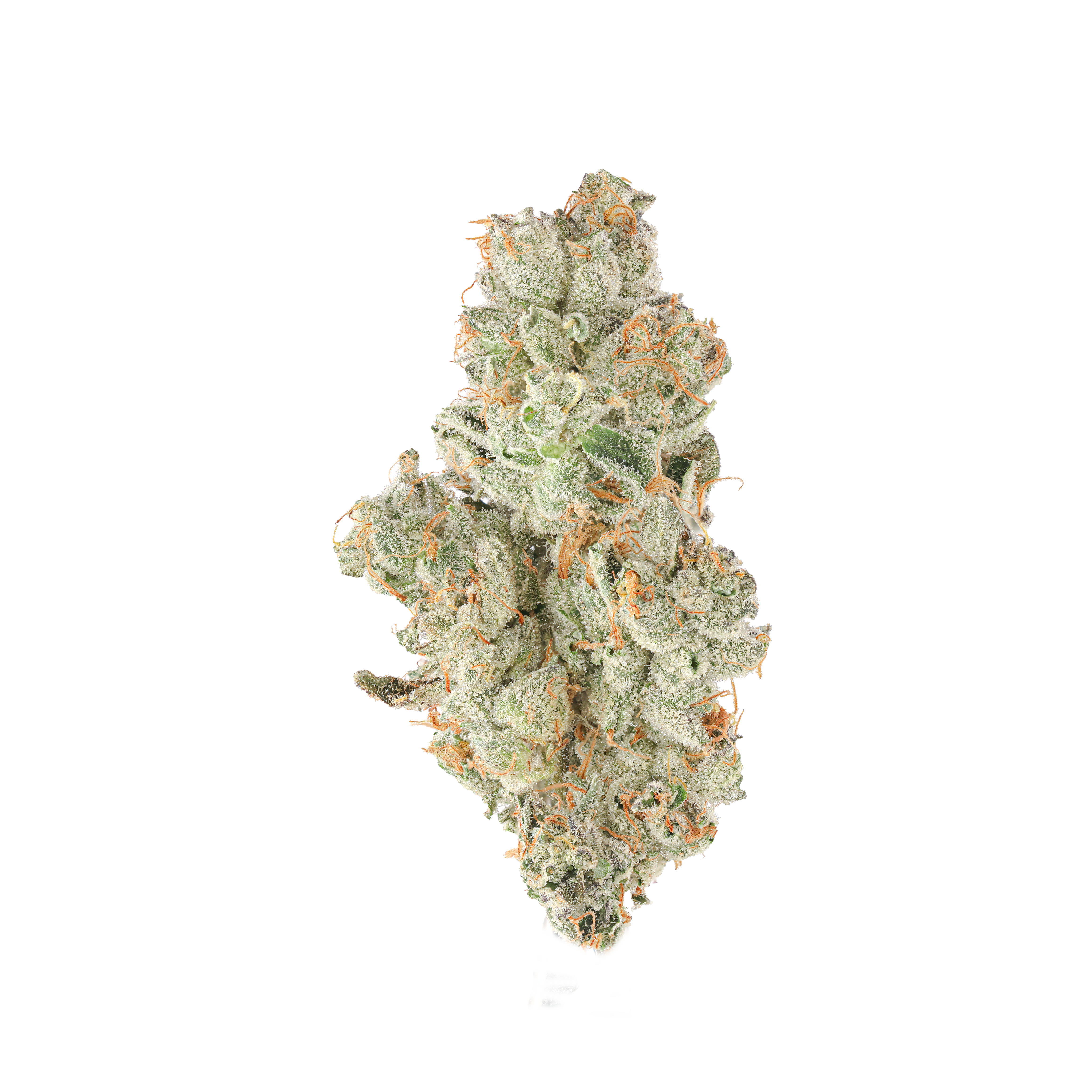 Peach Truffle