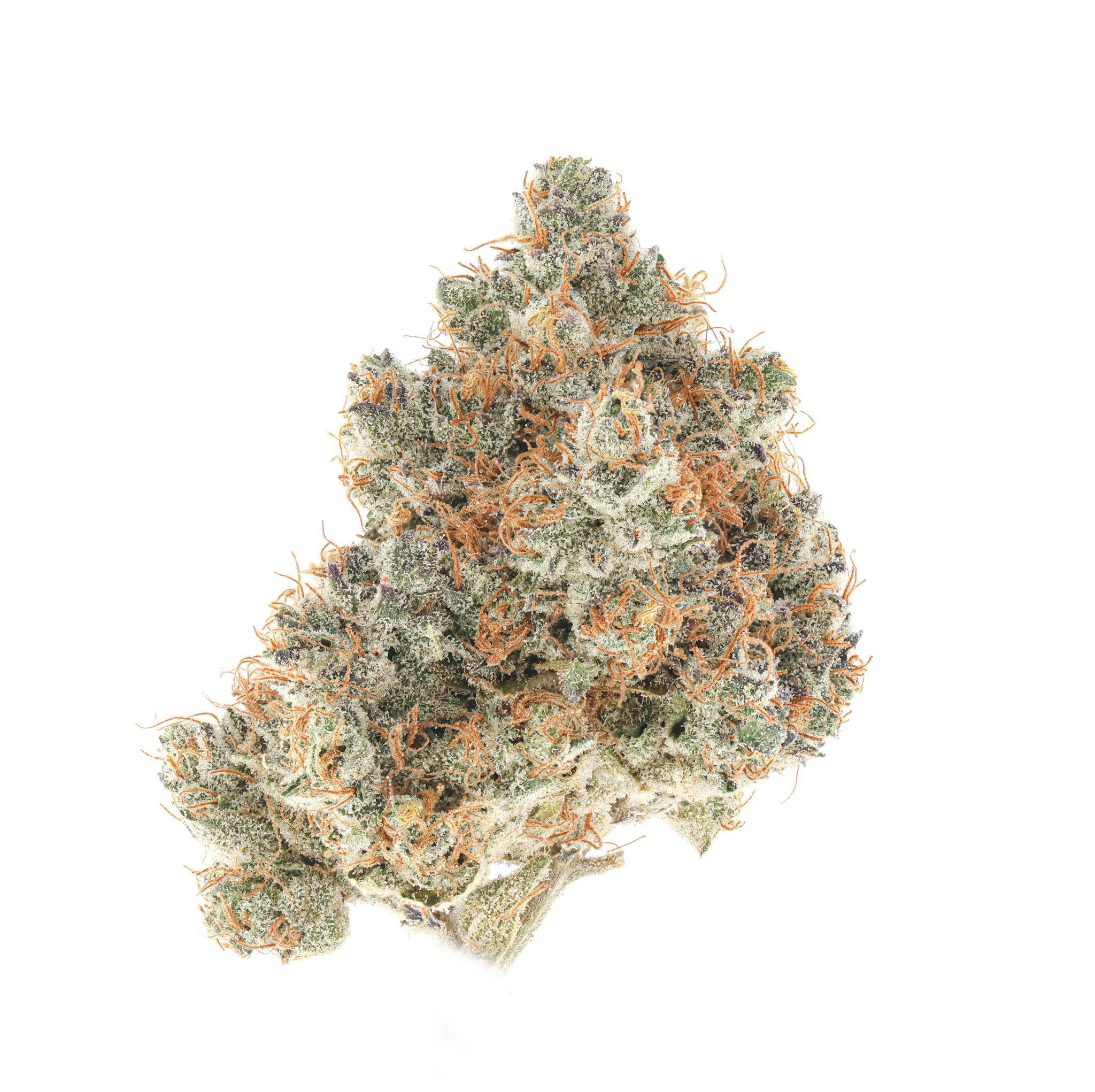 Pi-Chew #3