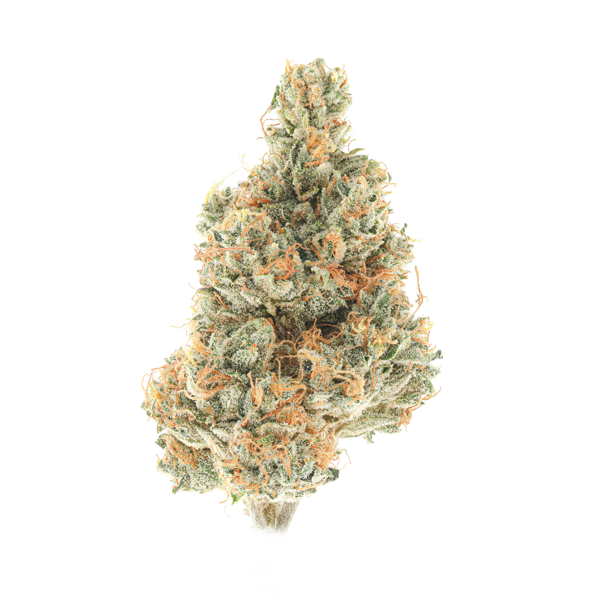 Pi-Chew #9