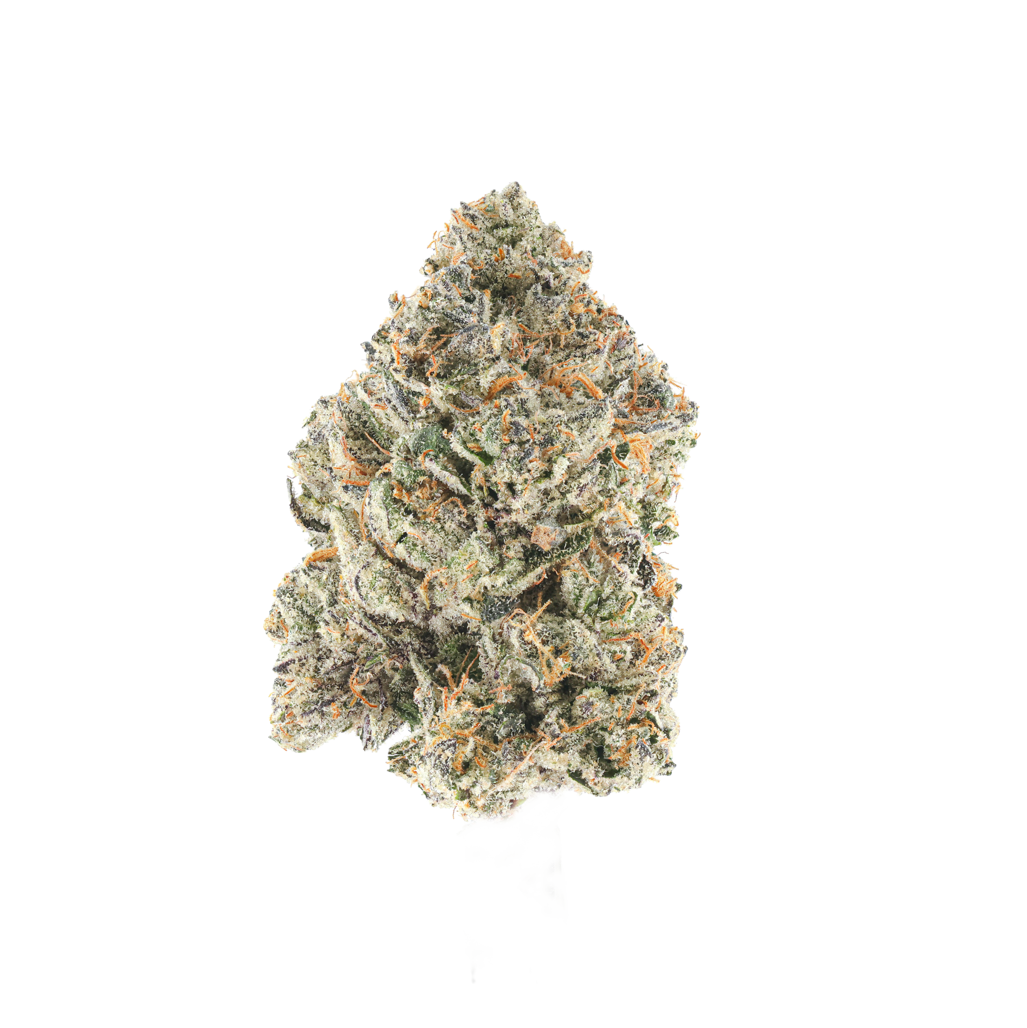 Pi-Chew #1