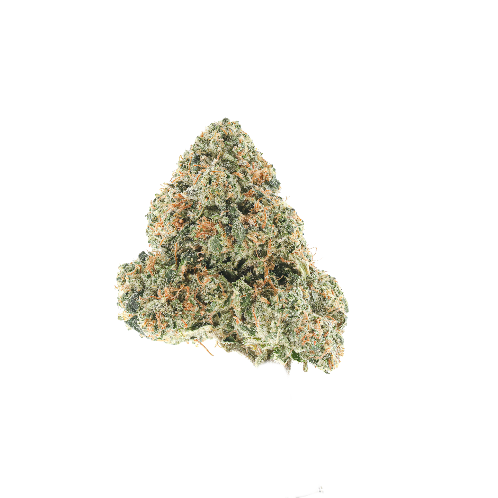Pine Zikagi