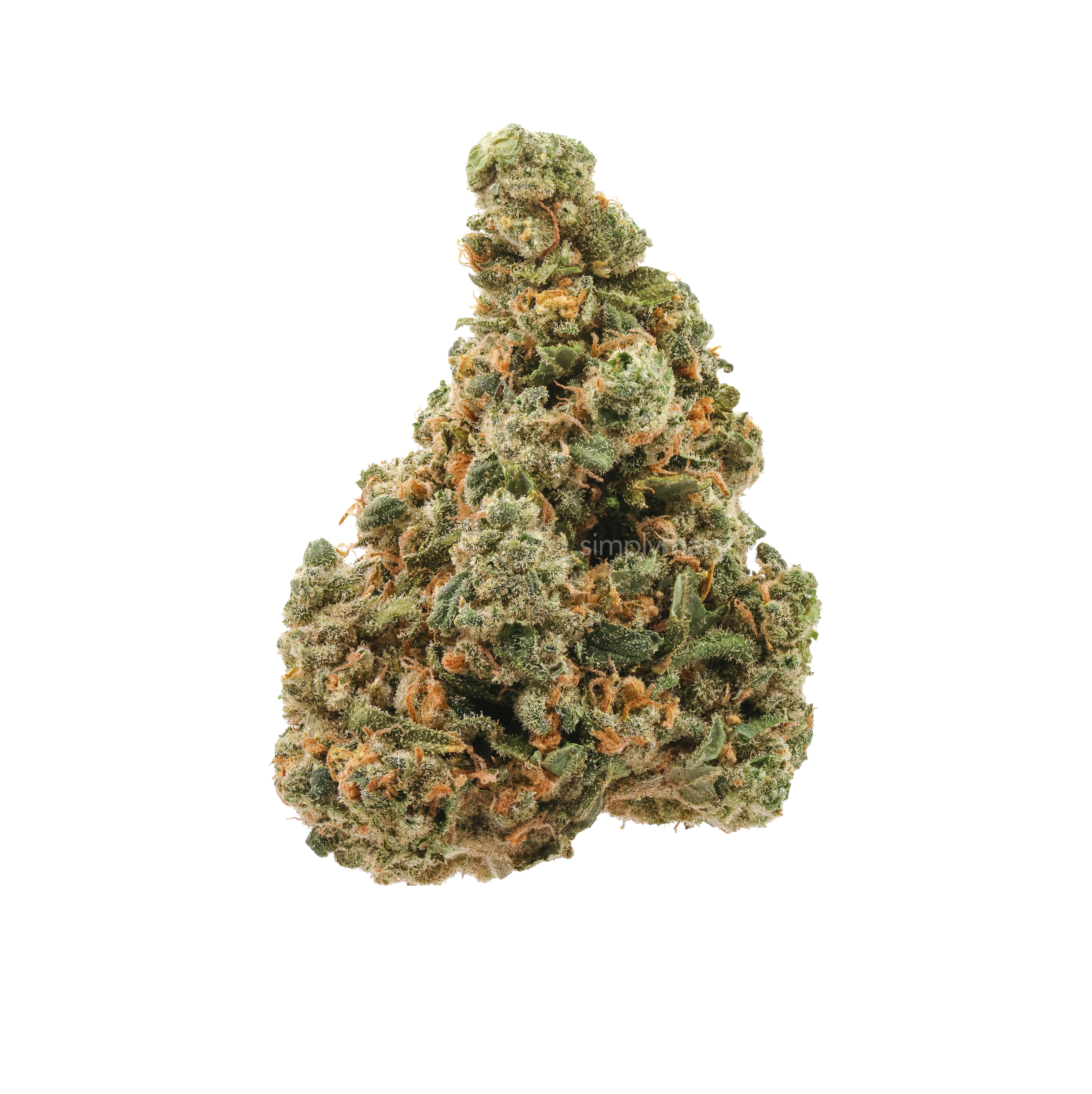 Platinum Jack