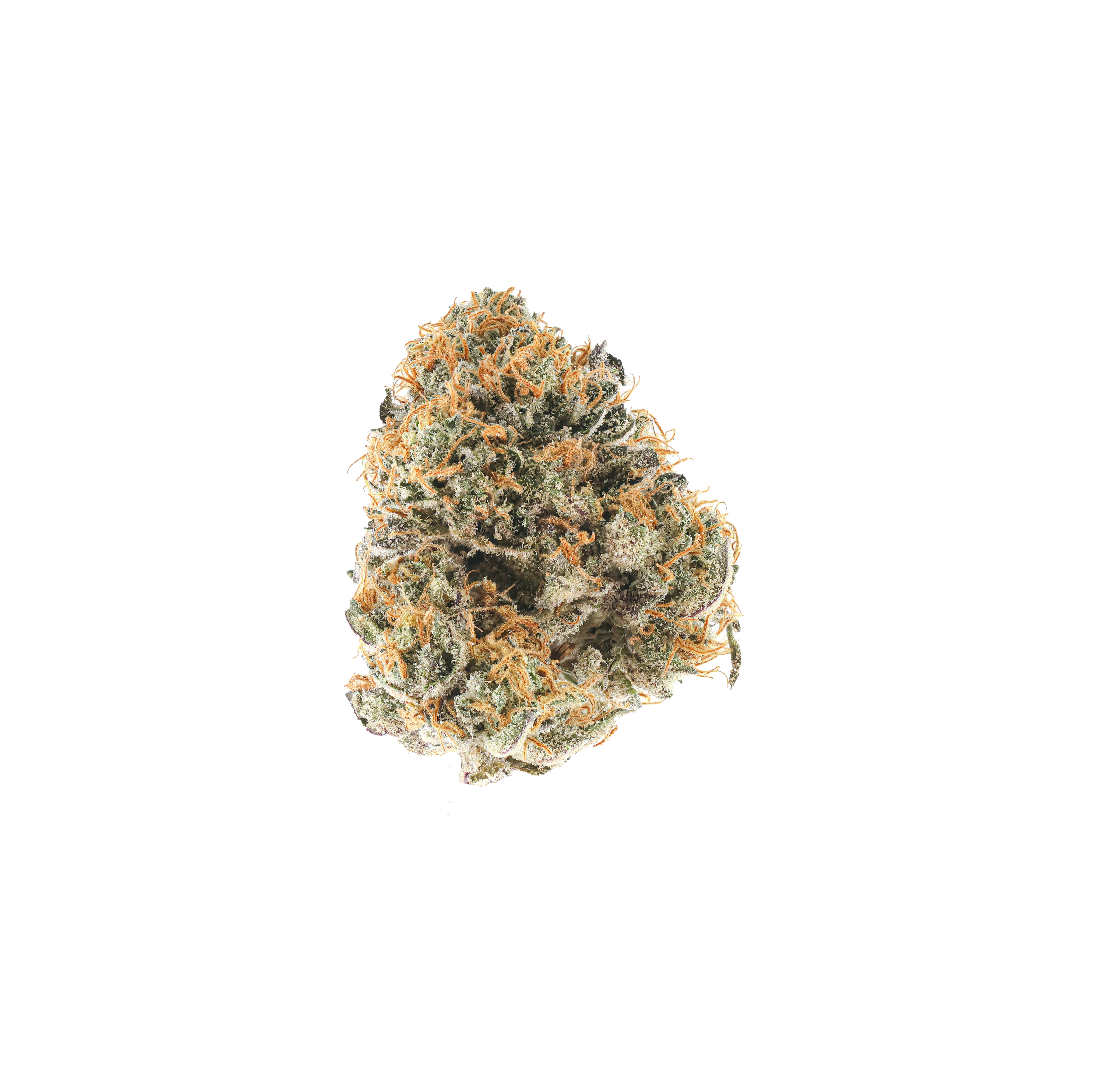 Rainbow Sherbert