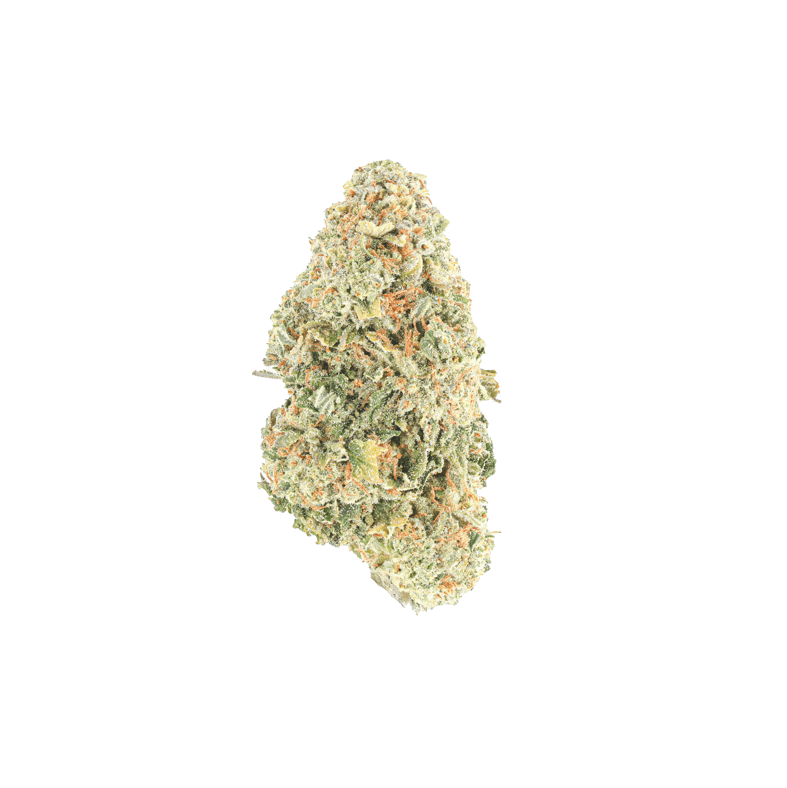 Rhinoz