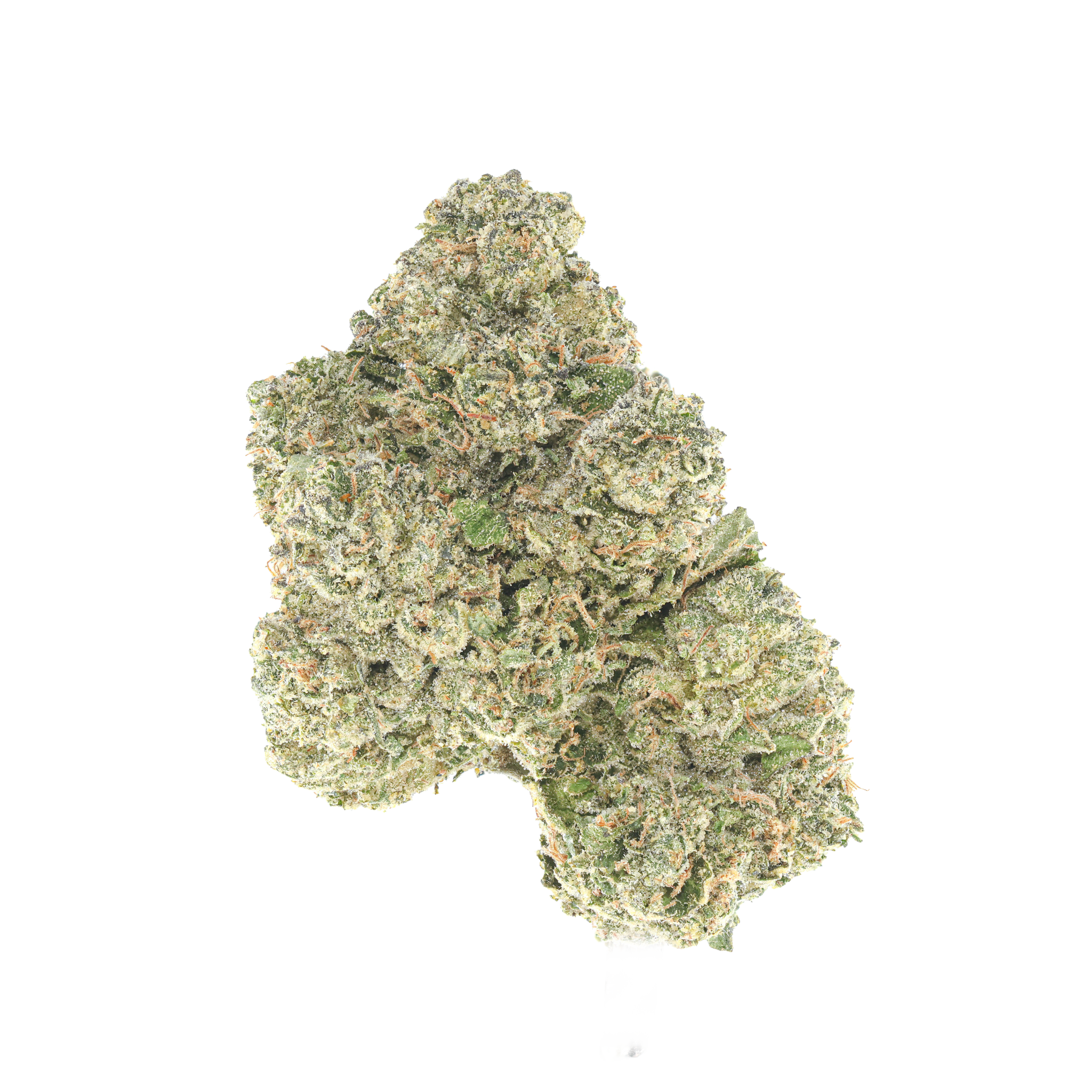 Rico