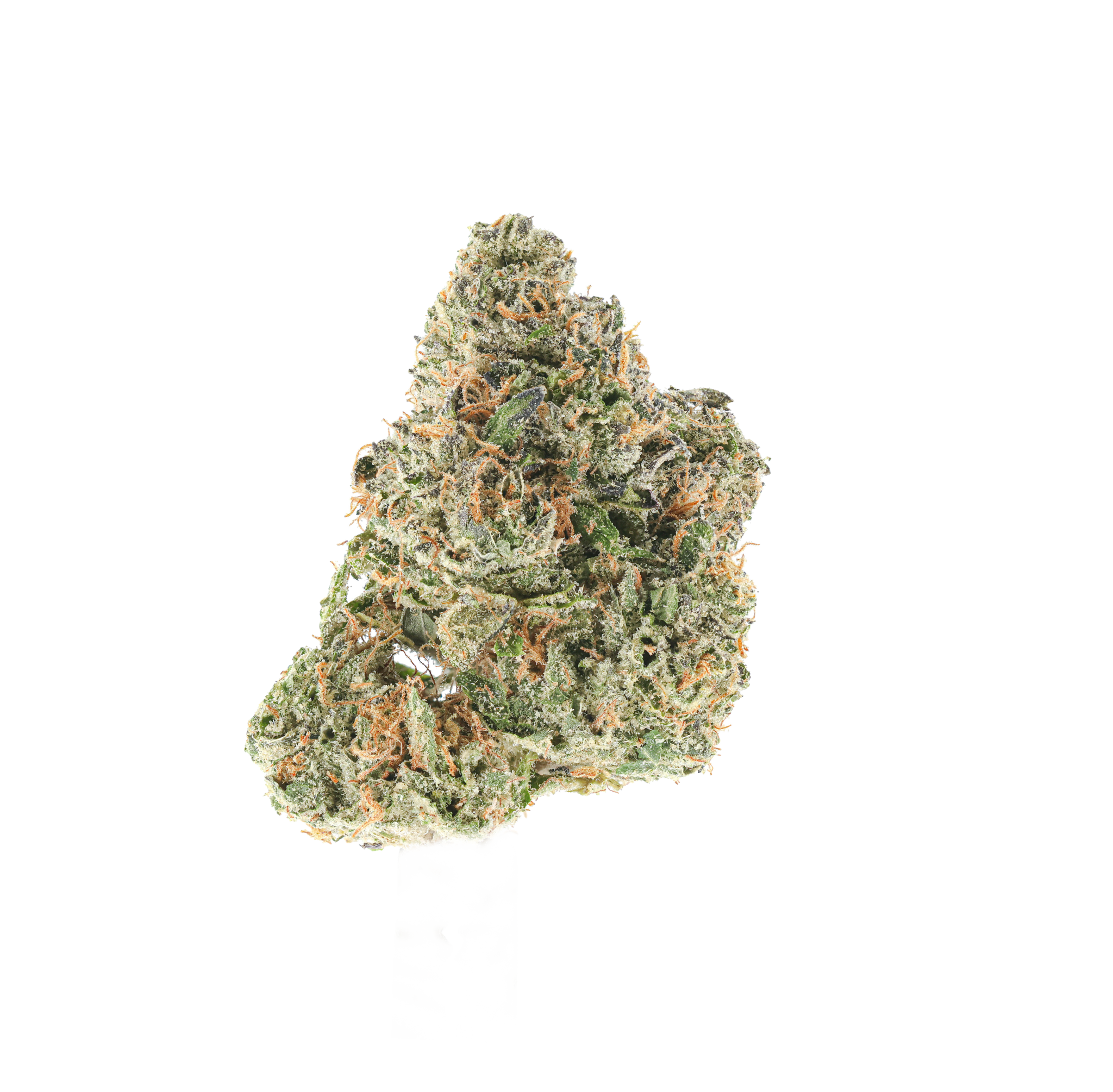 Rio