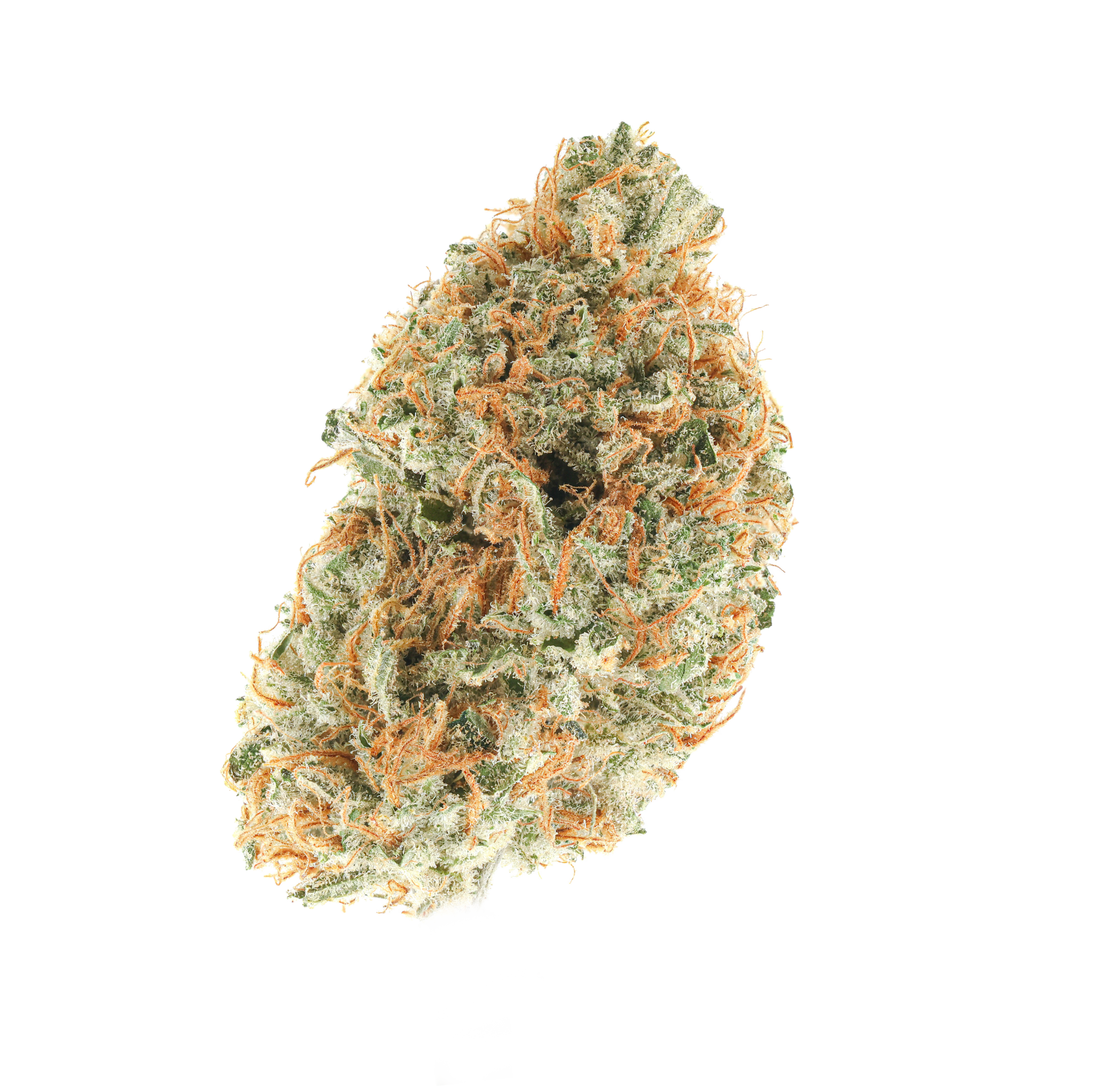 Rotten Mango