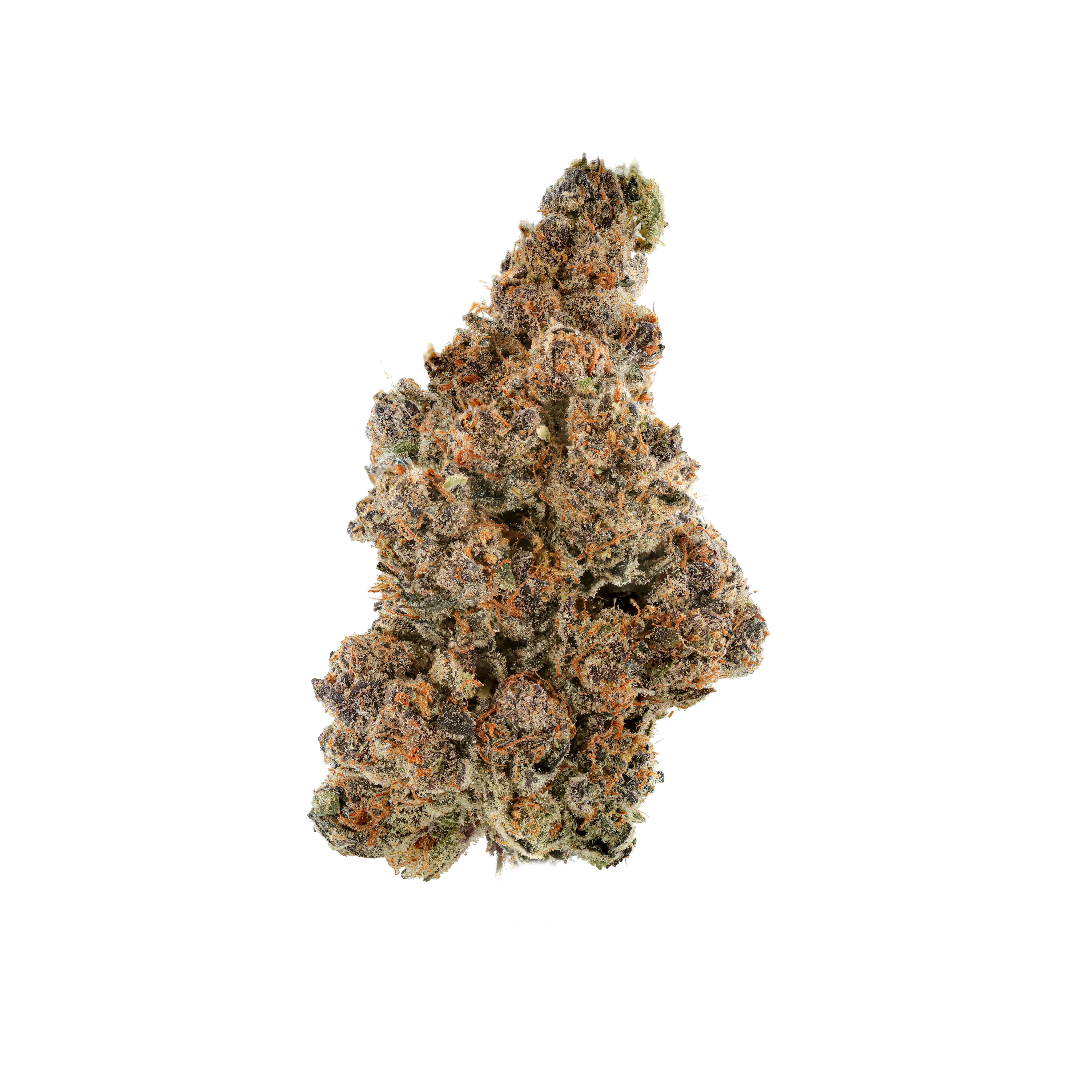 Cookie Jar