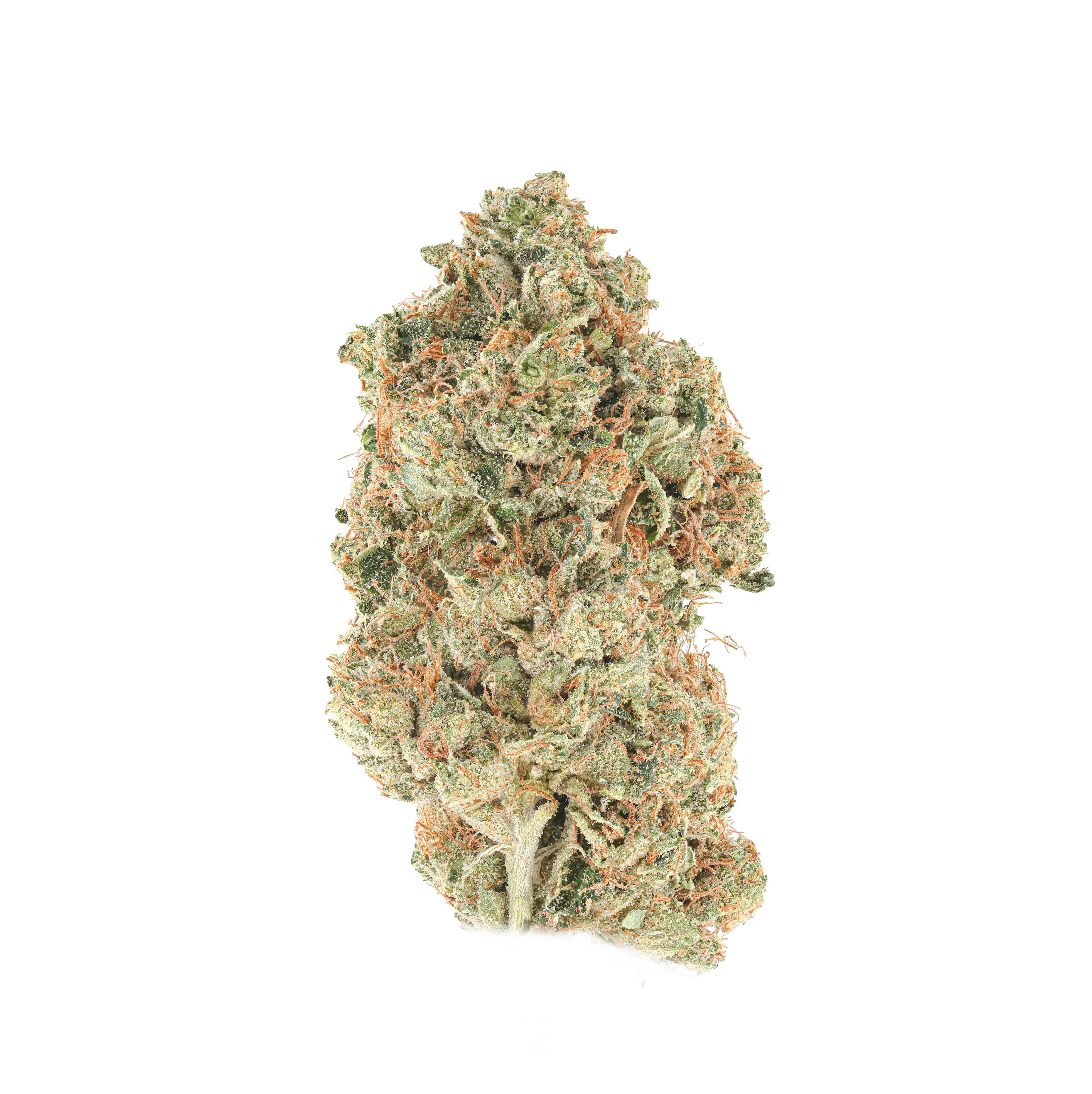 SFV OG