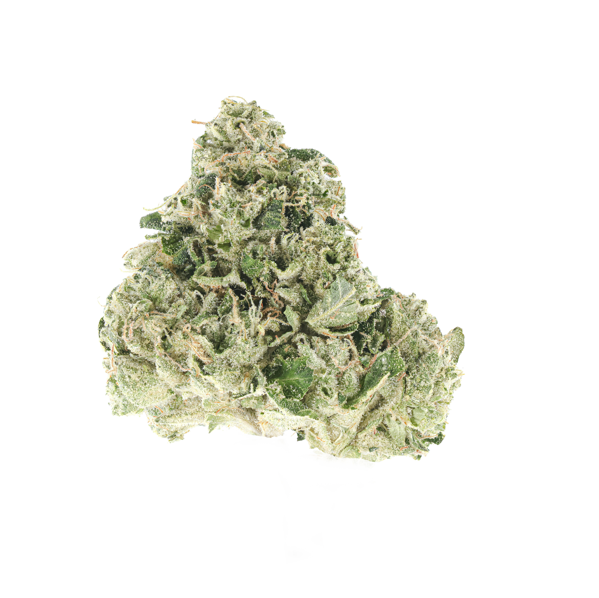 Sour Dawg