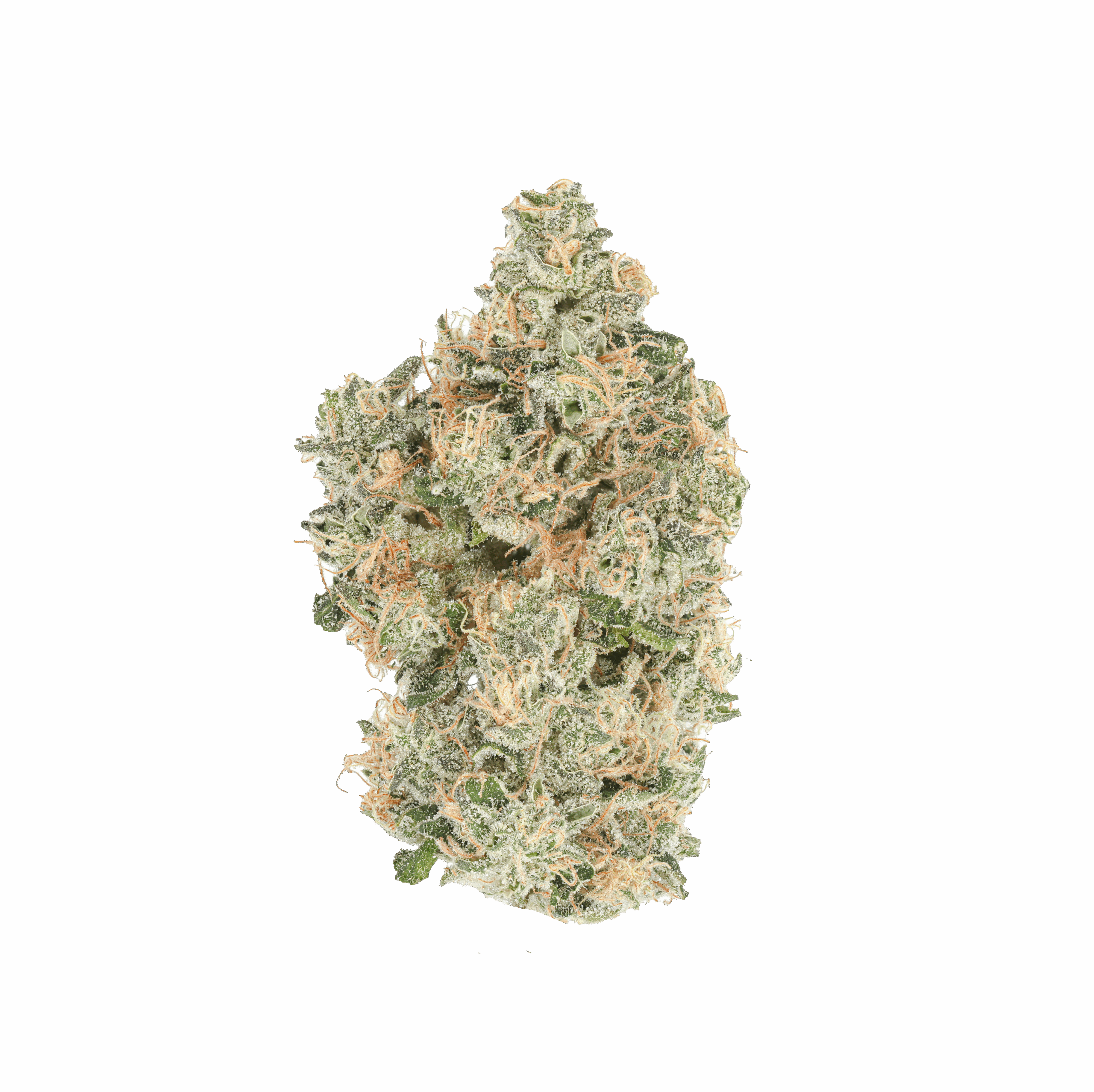 Sour Lemon Mochi #16