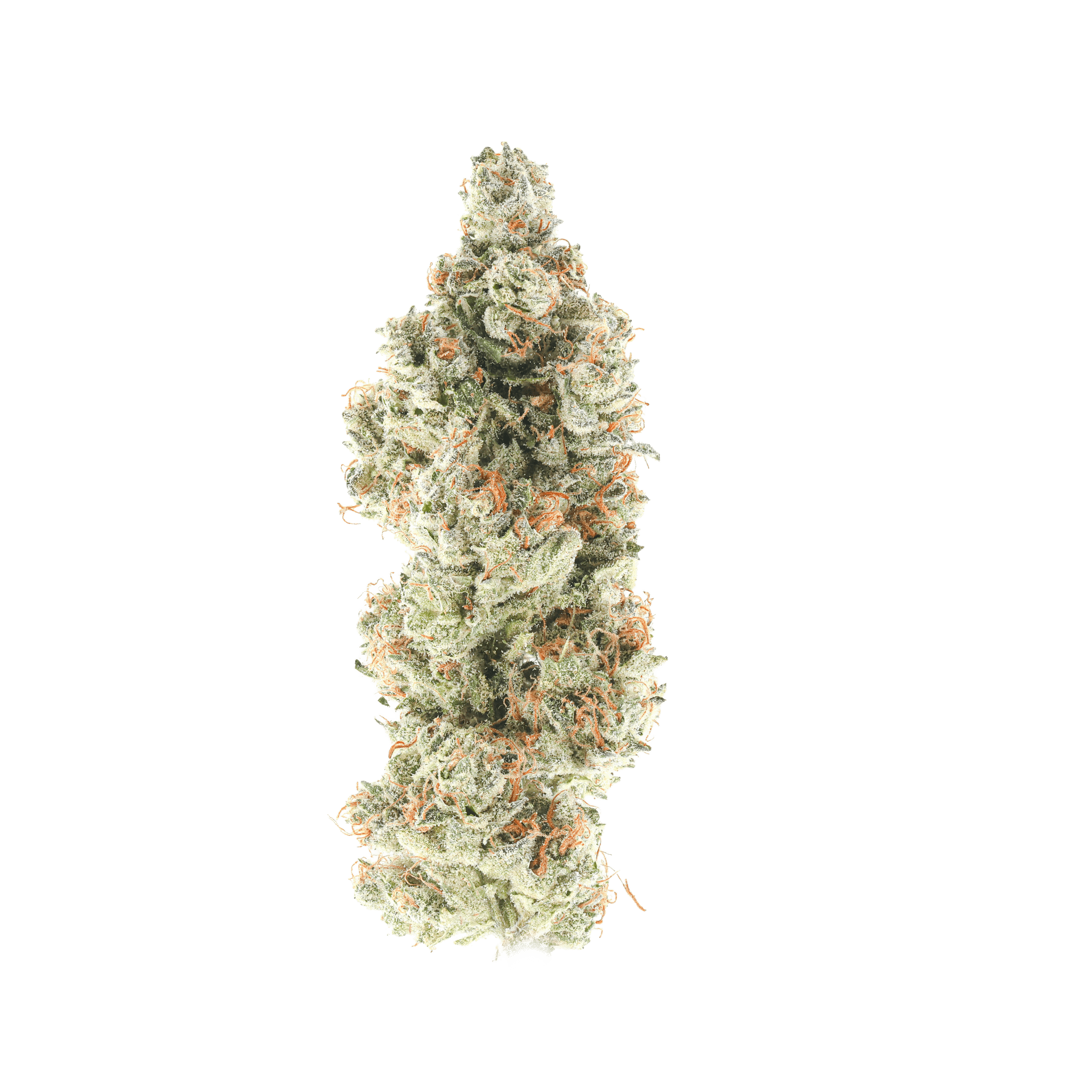SSX Sticky