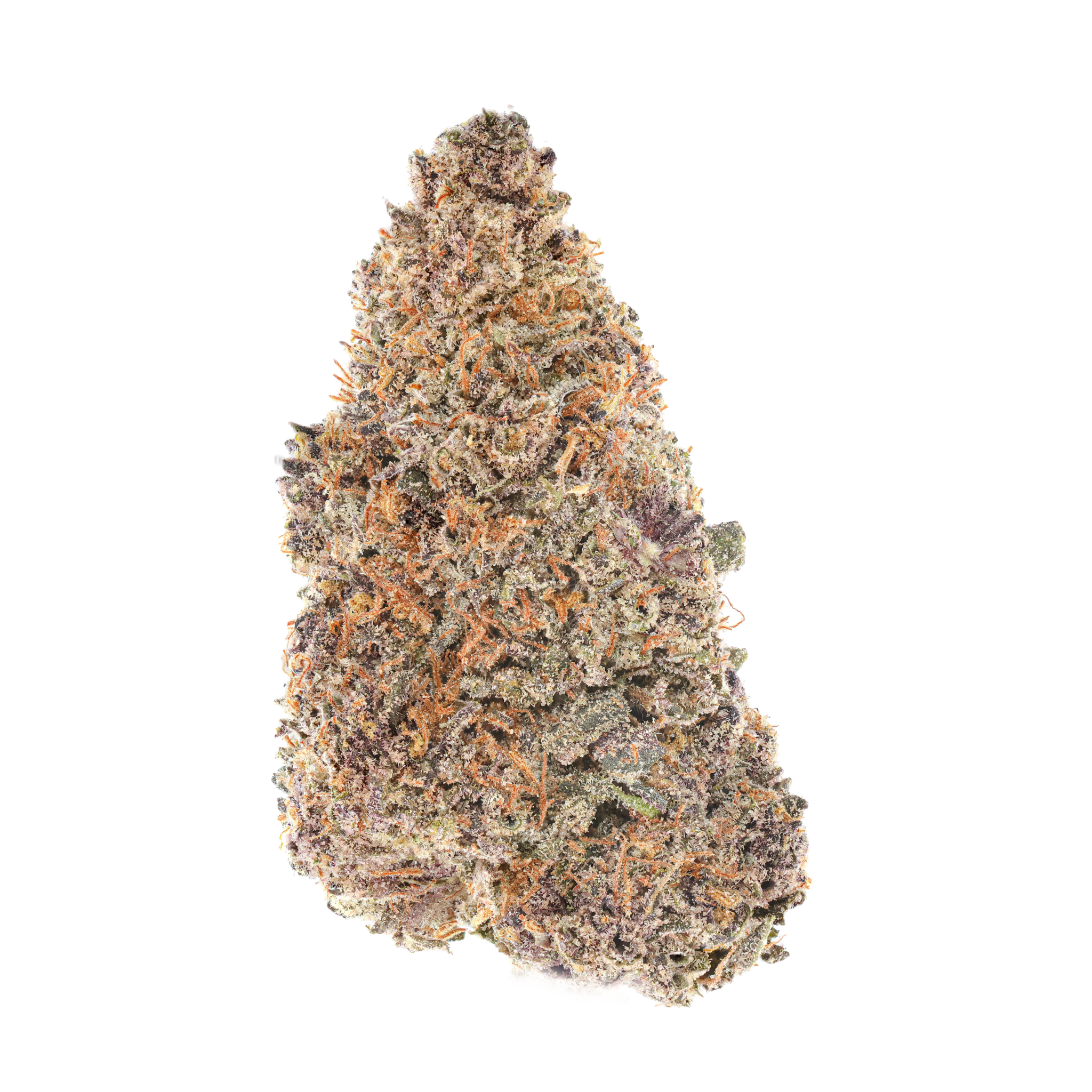 Strawberry Sharkz