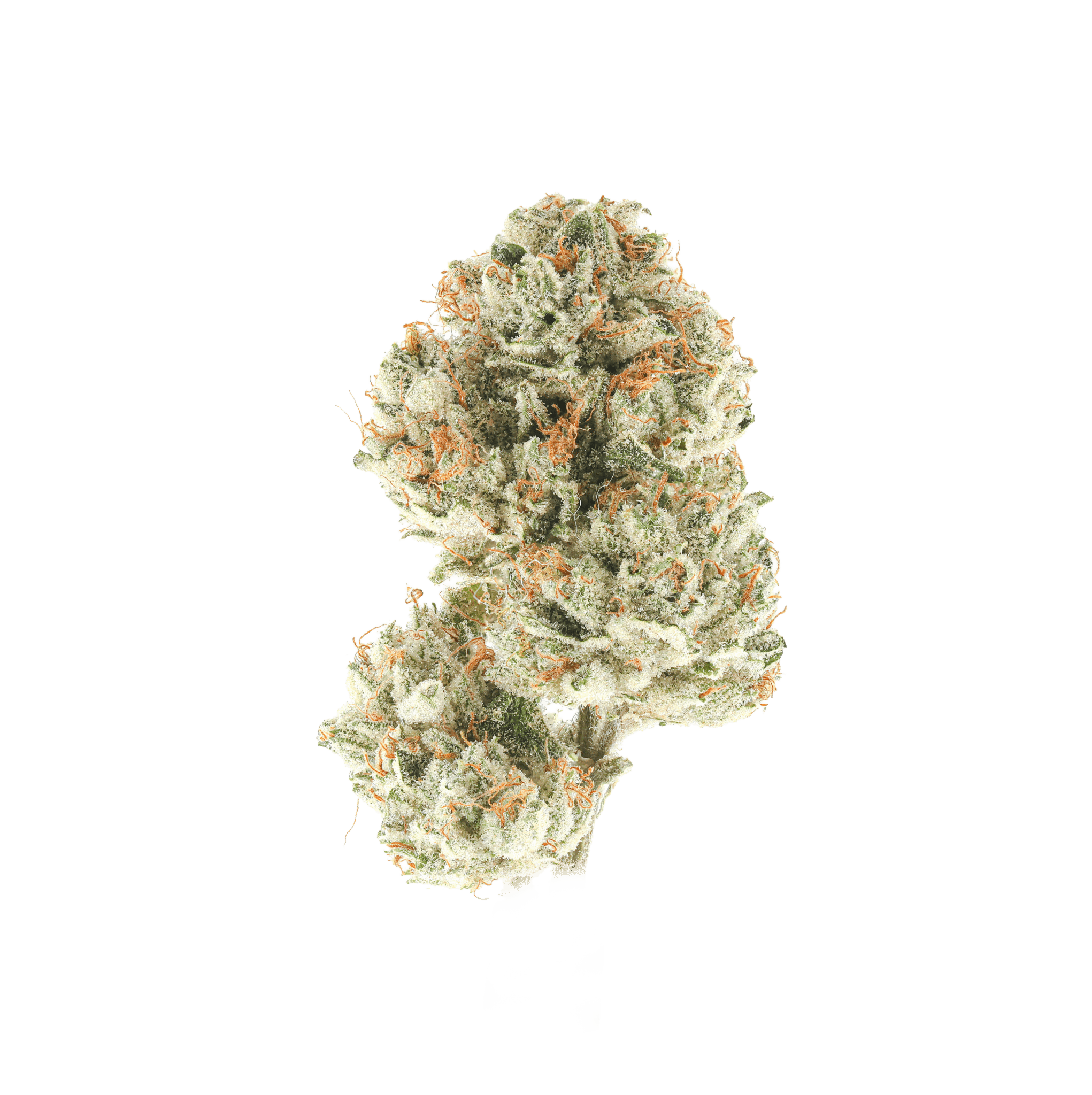 Starburst OG