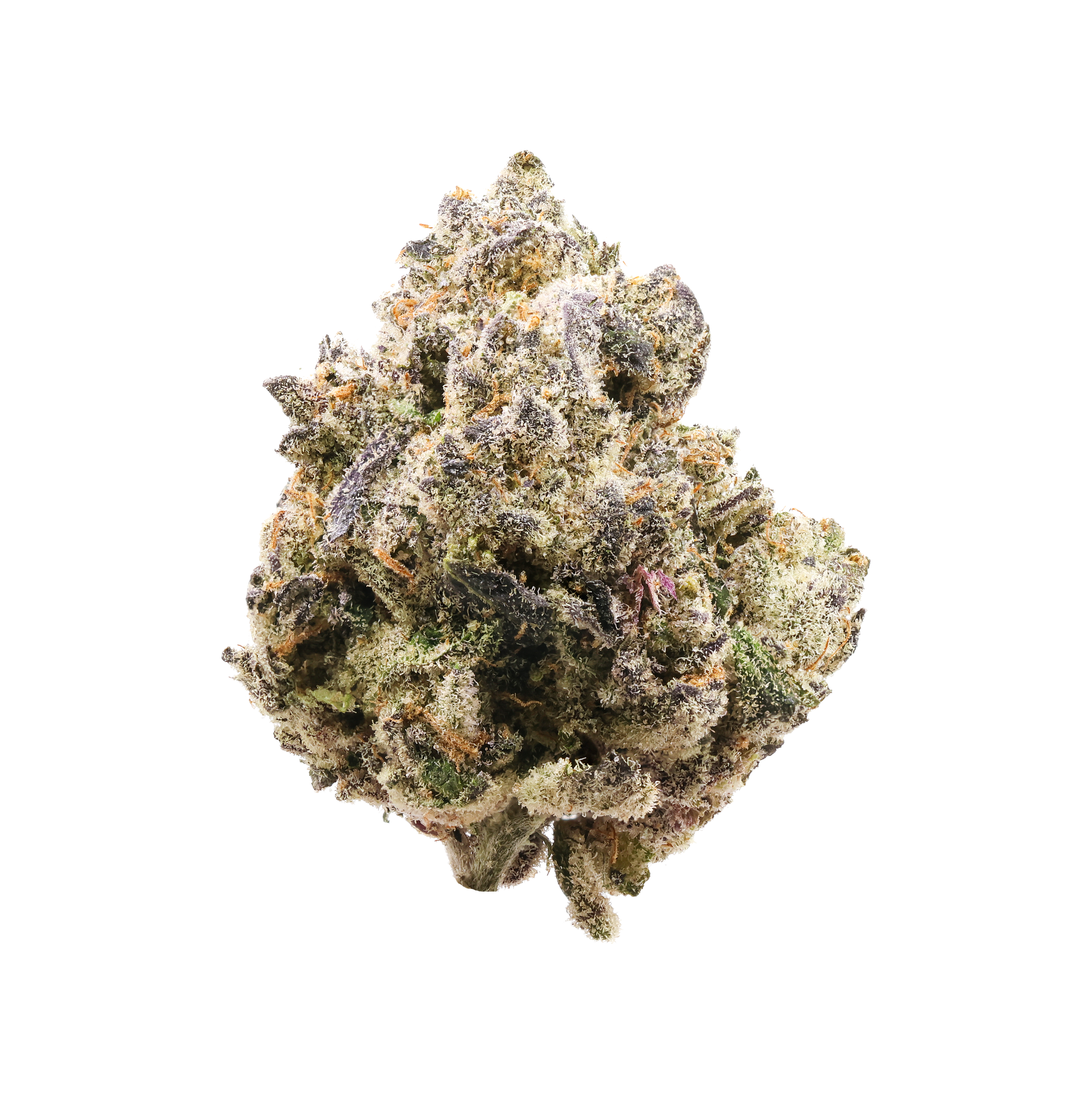 Stuffed Cherry Gelato