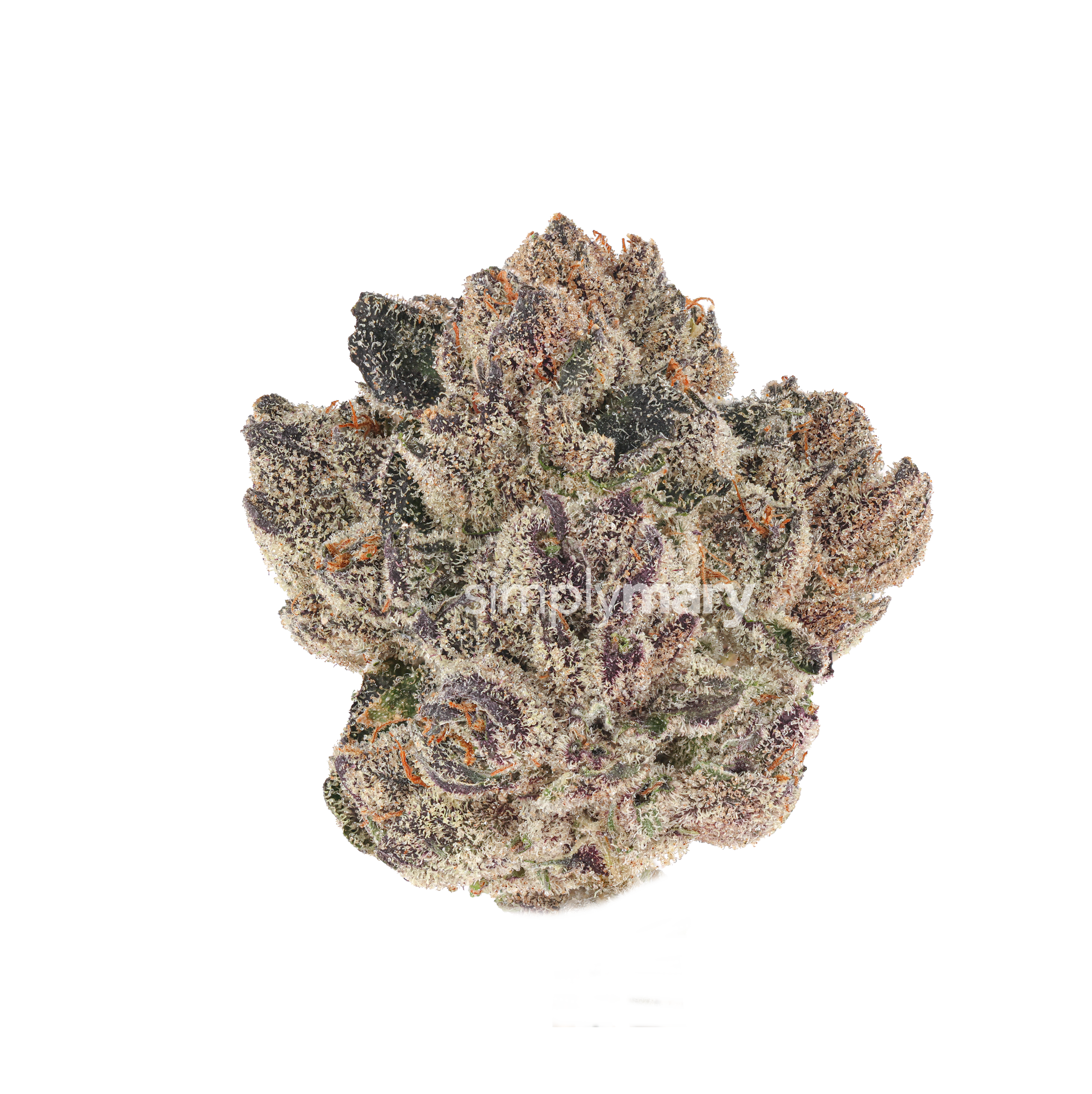 Stuffed Cherry Gelato