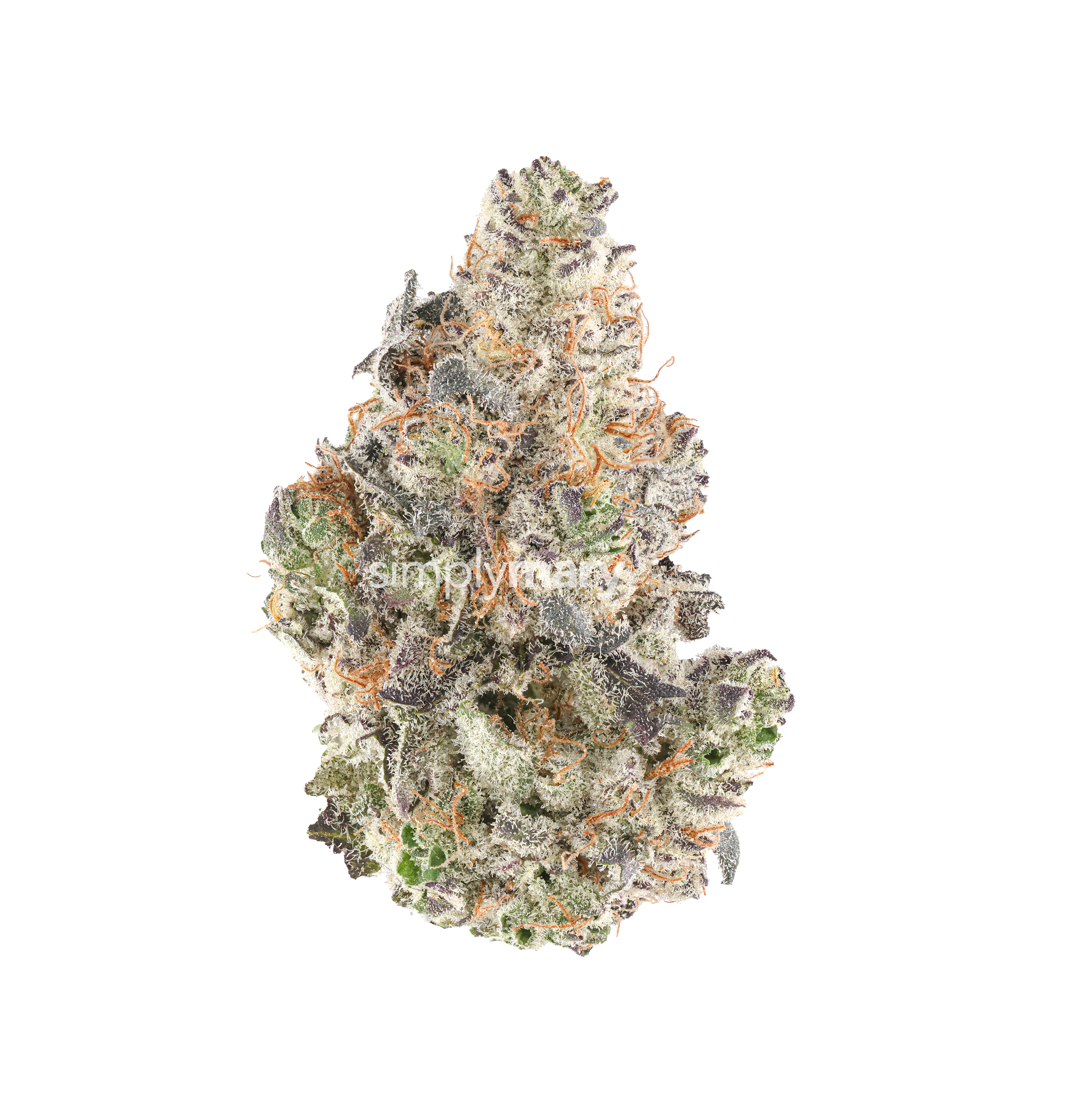Sundae Ecstasy #4