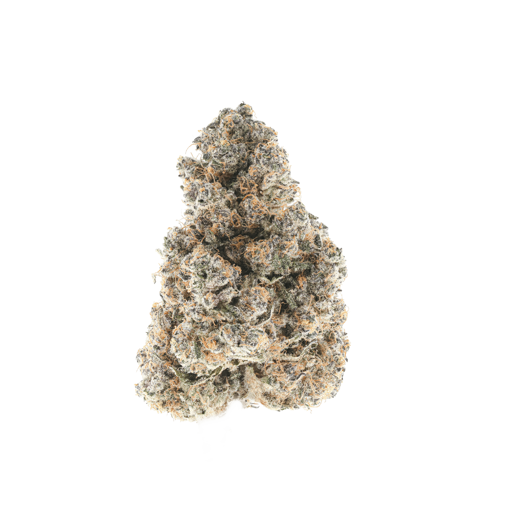 Super Boof Bx
