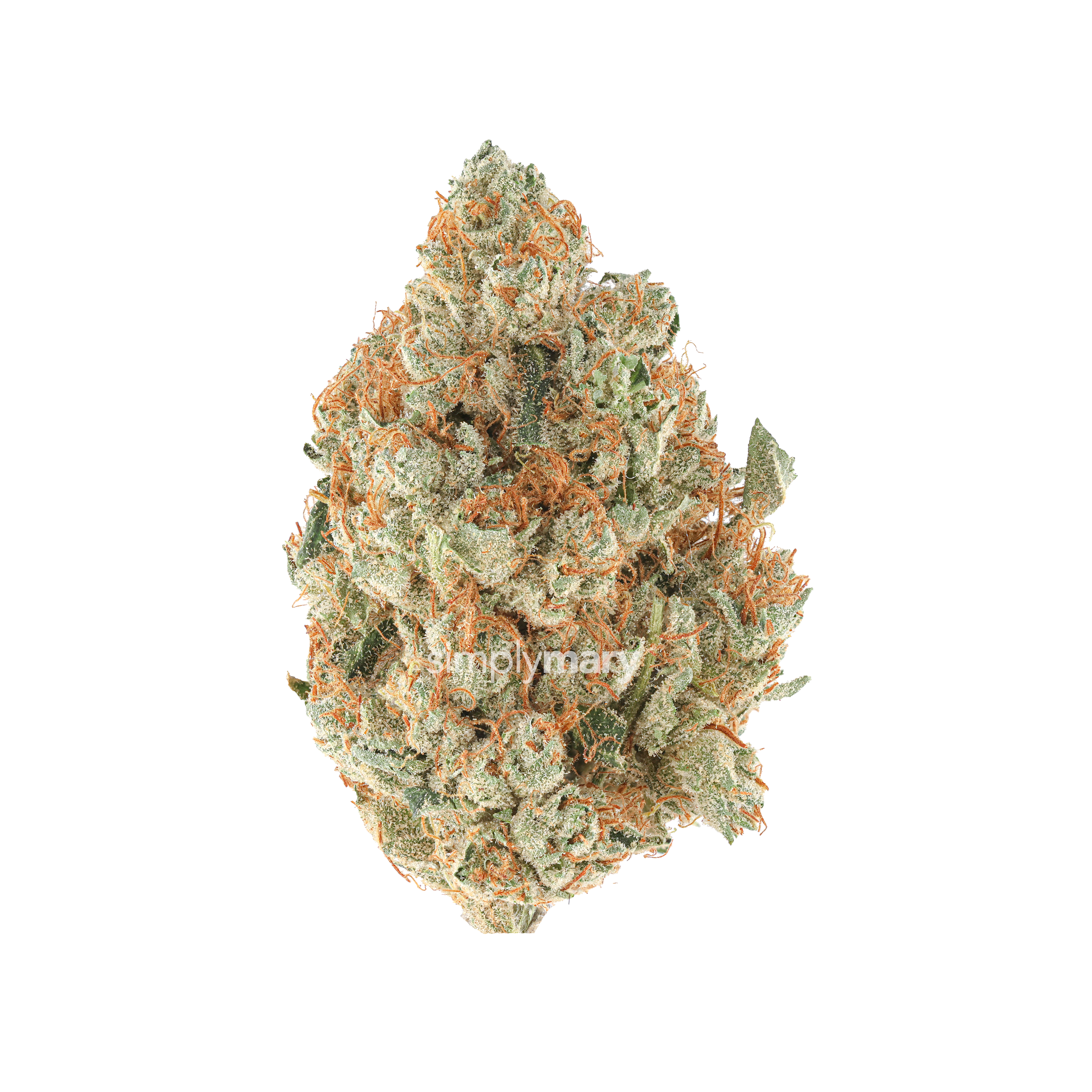 Tahoe OG