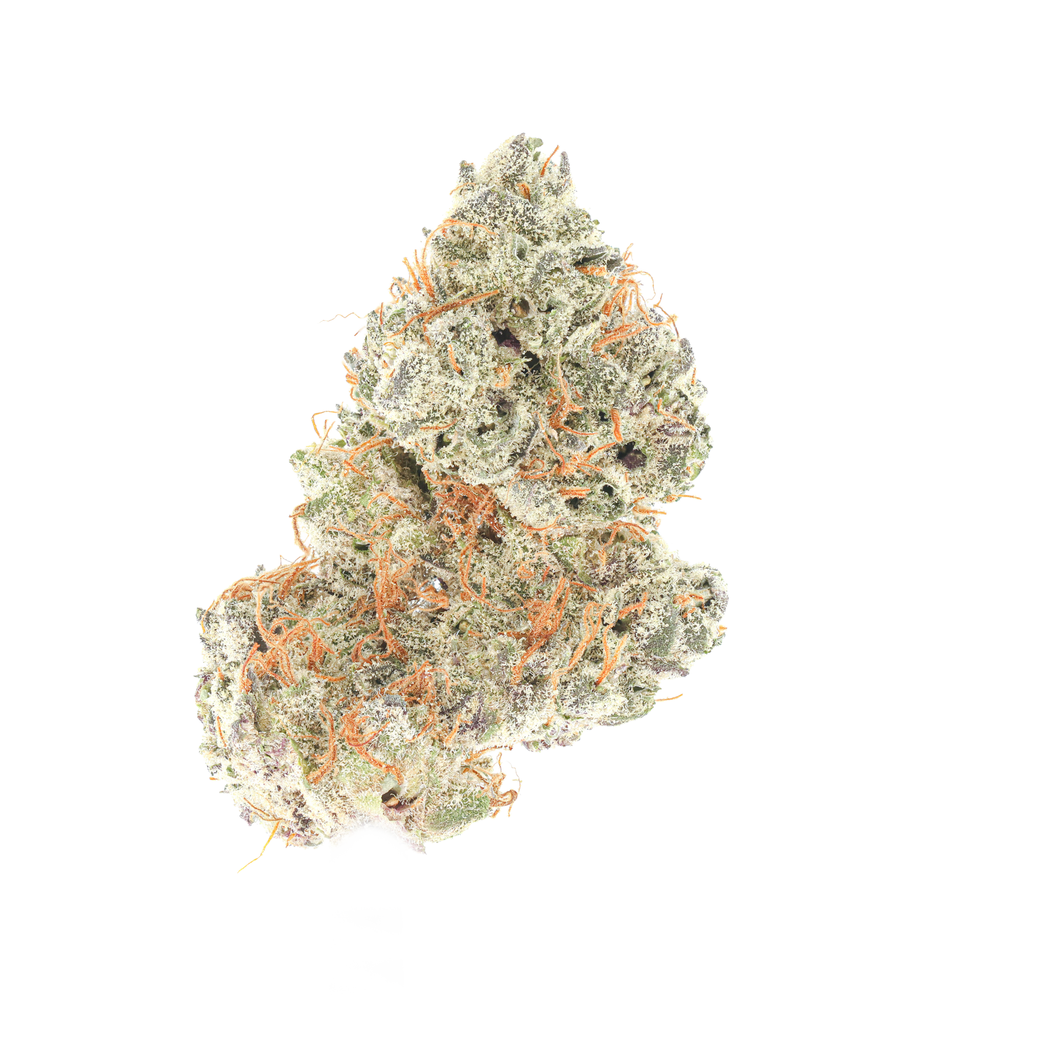 Tang