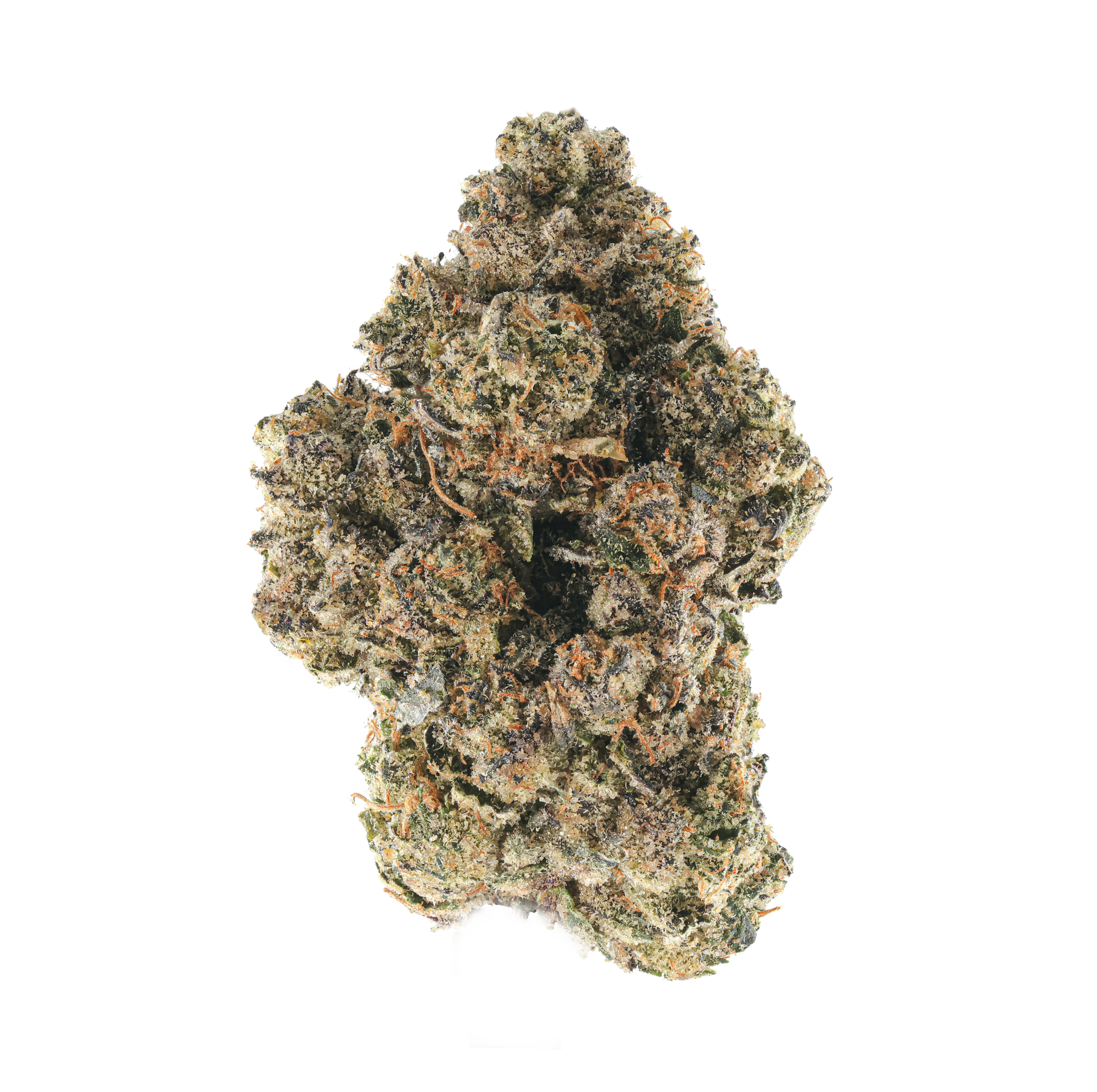 Purple Frog