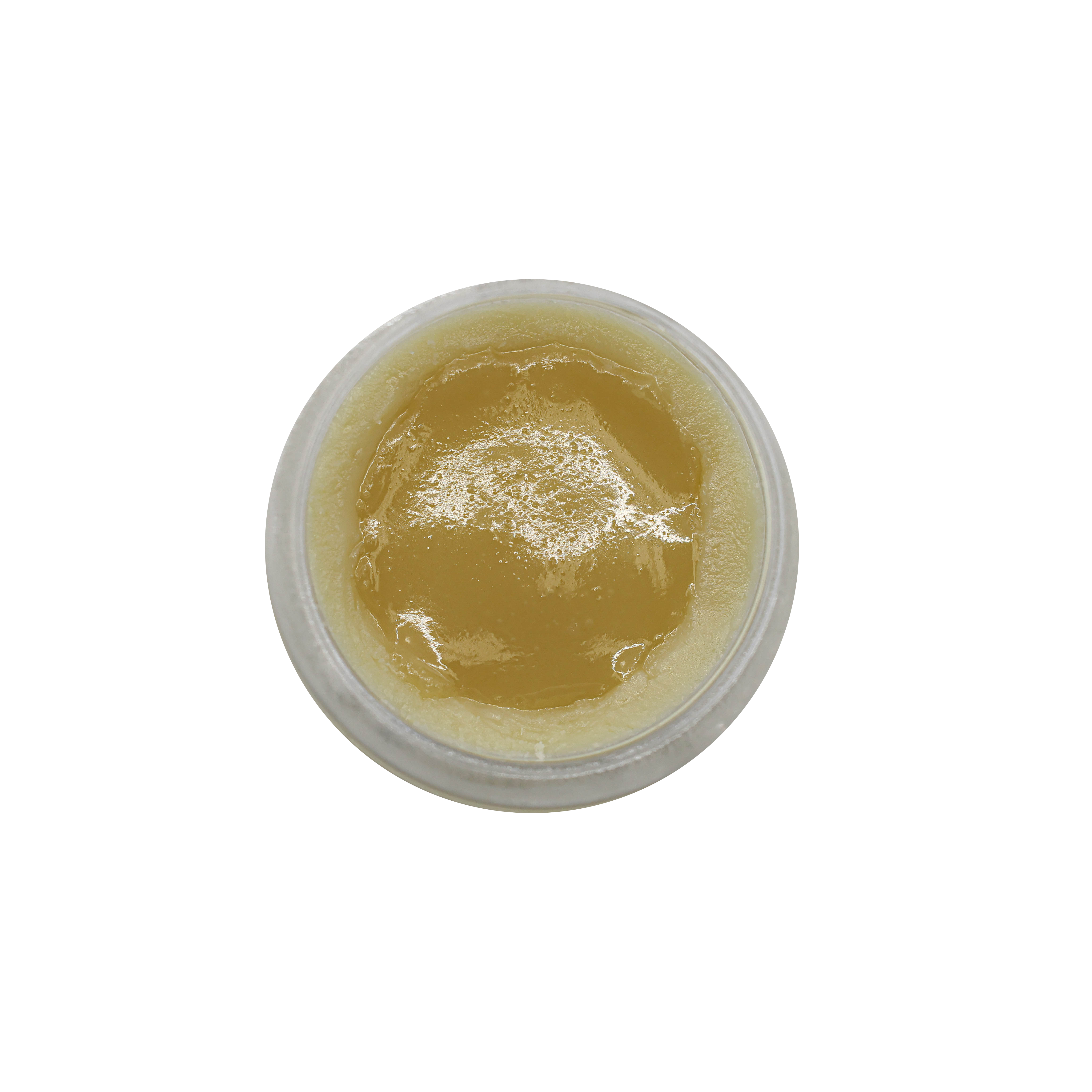 Toyama Bay Hotaru-Ika Glow Thumbprint