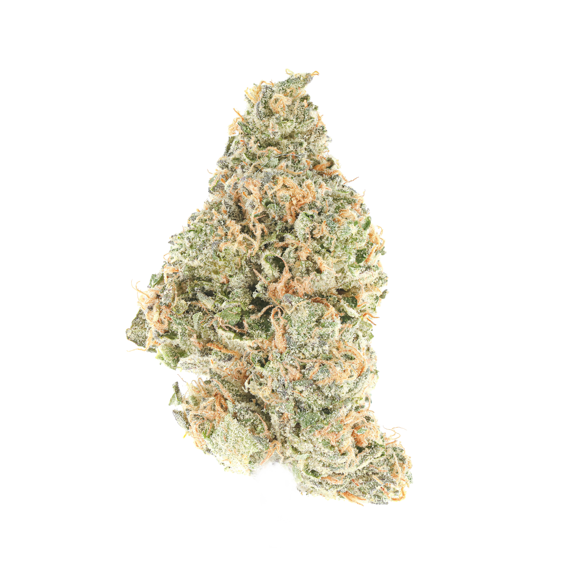Tree Zzz's