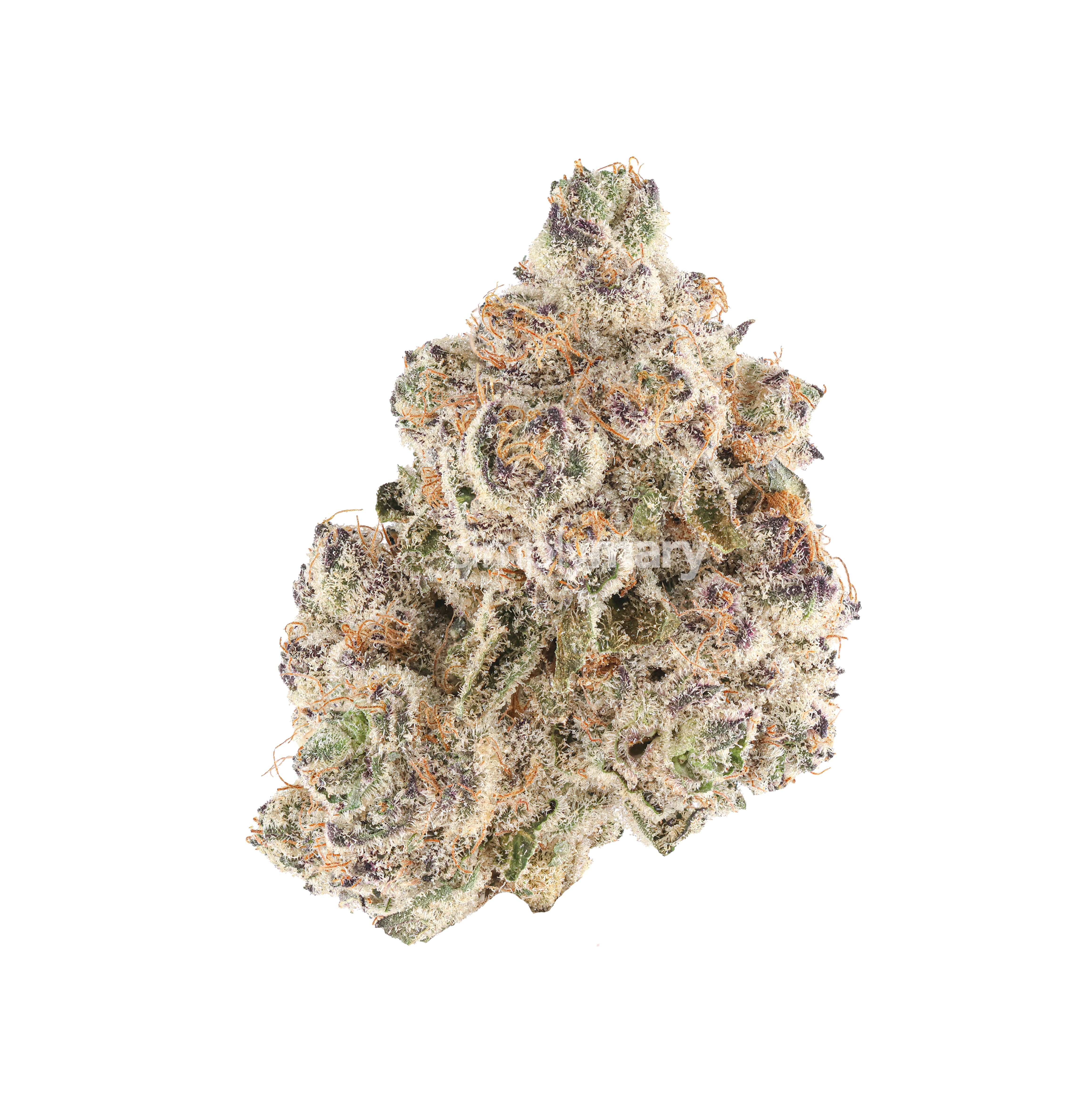 Trop Cherry Gas