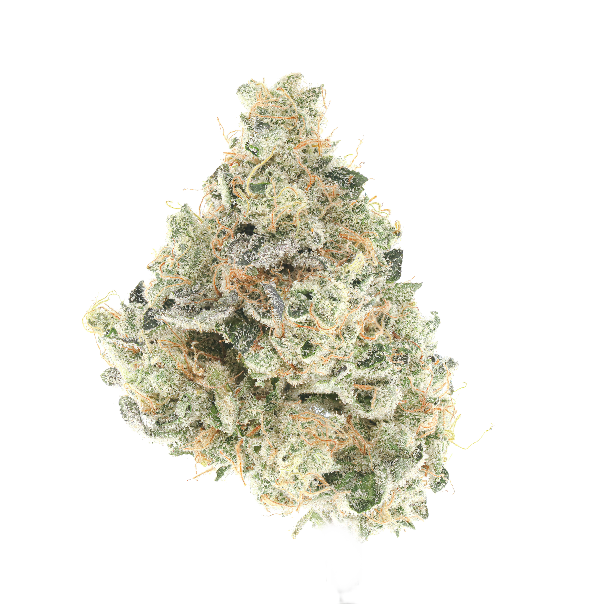 Undisclosed Lemon