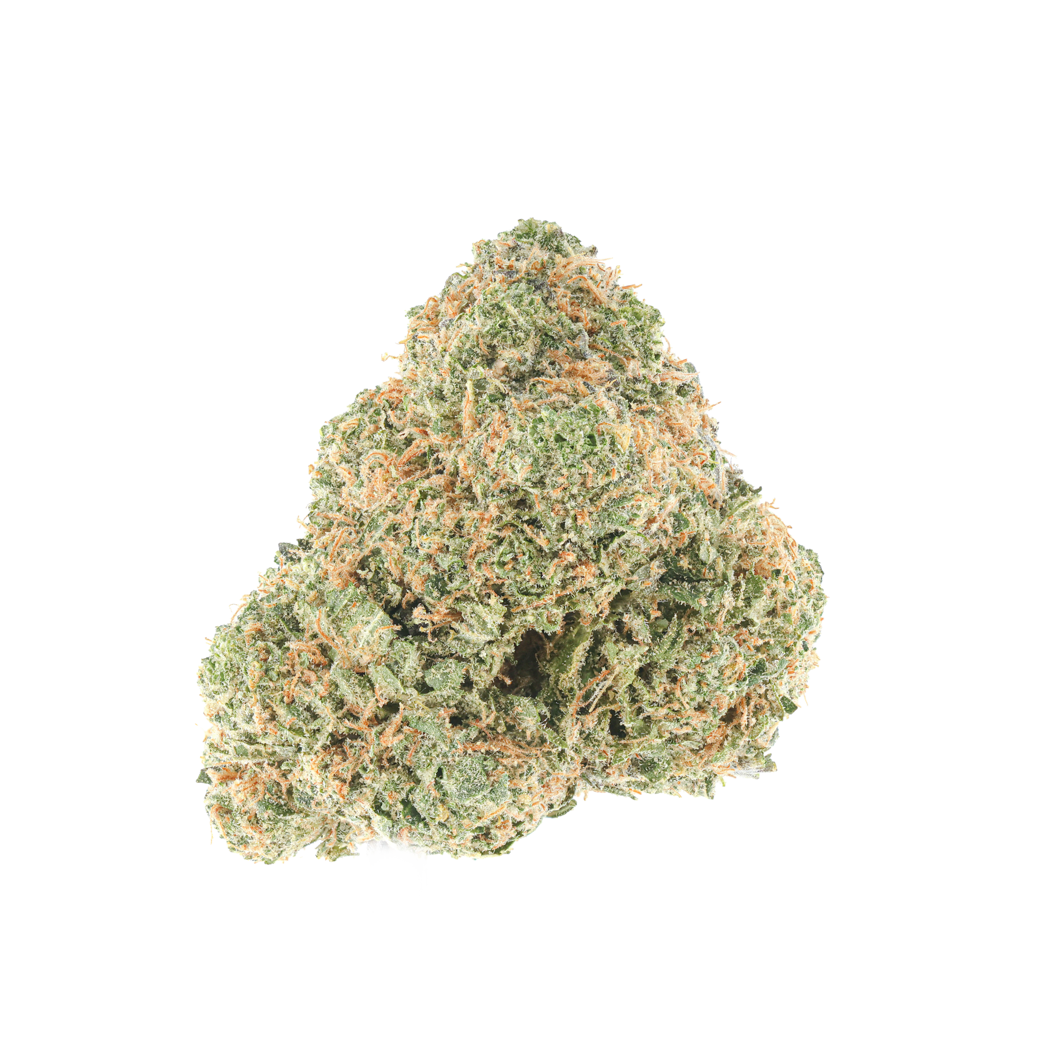 White Zoyard