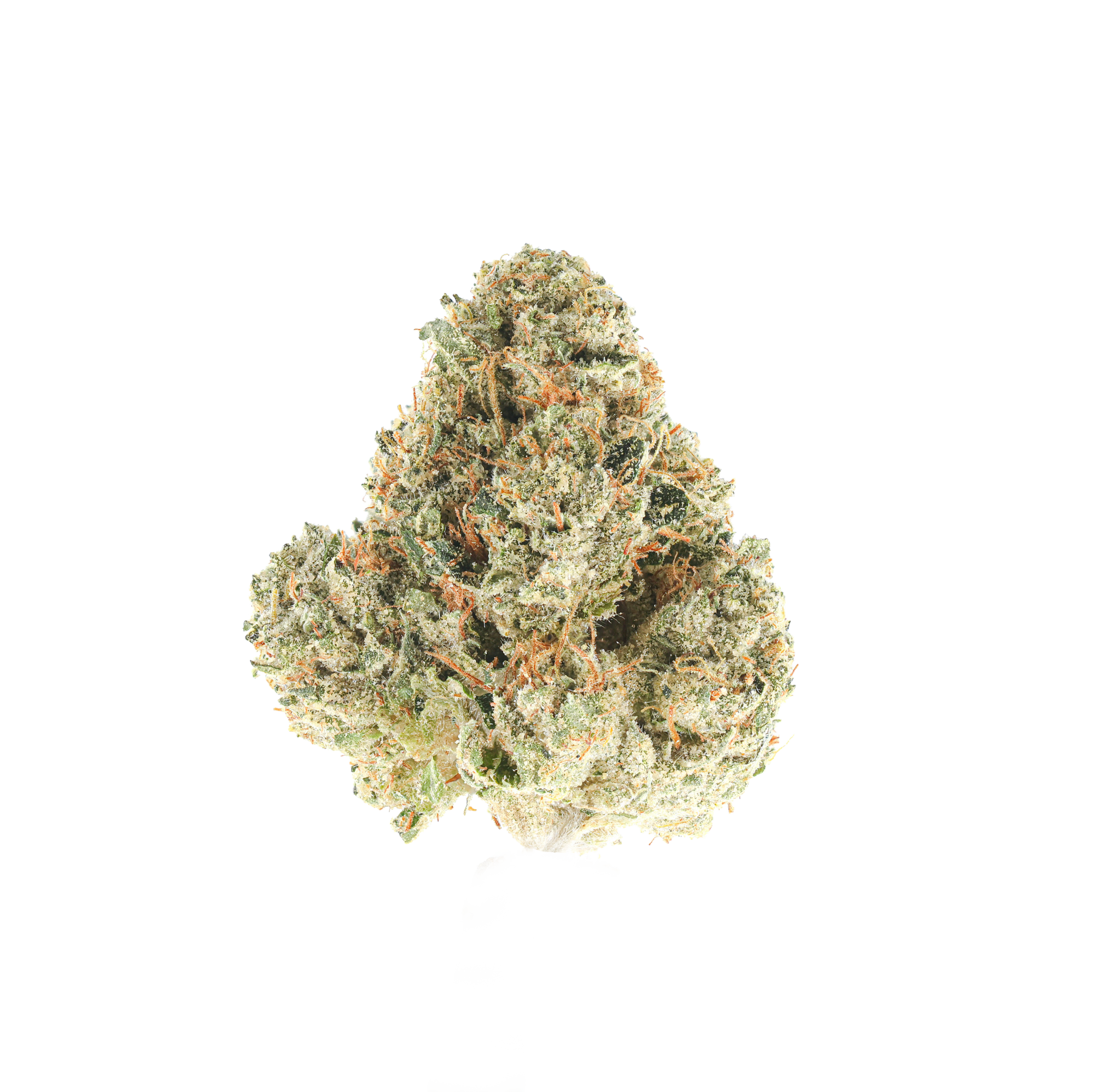 Yoda