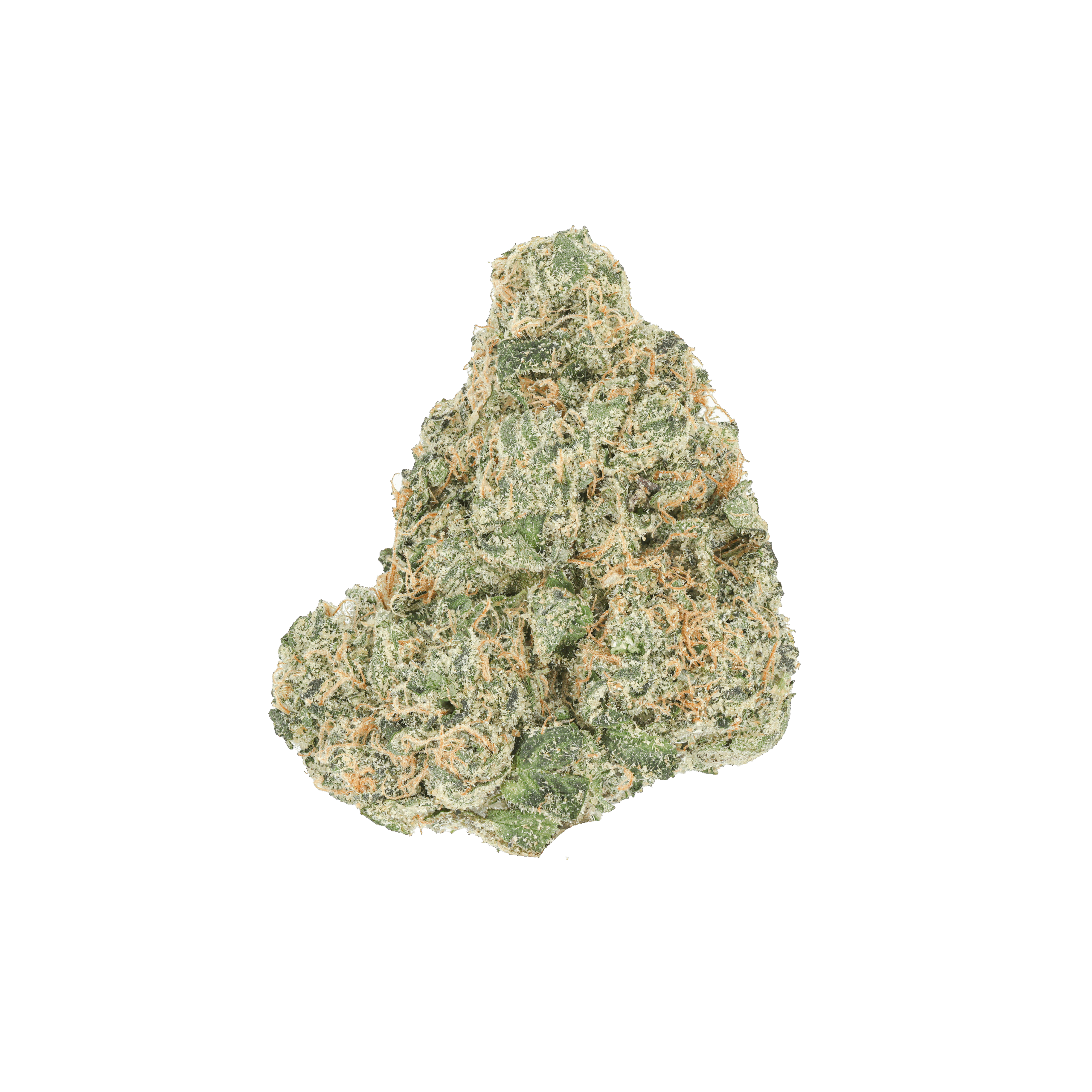 Zcorpion
