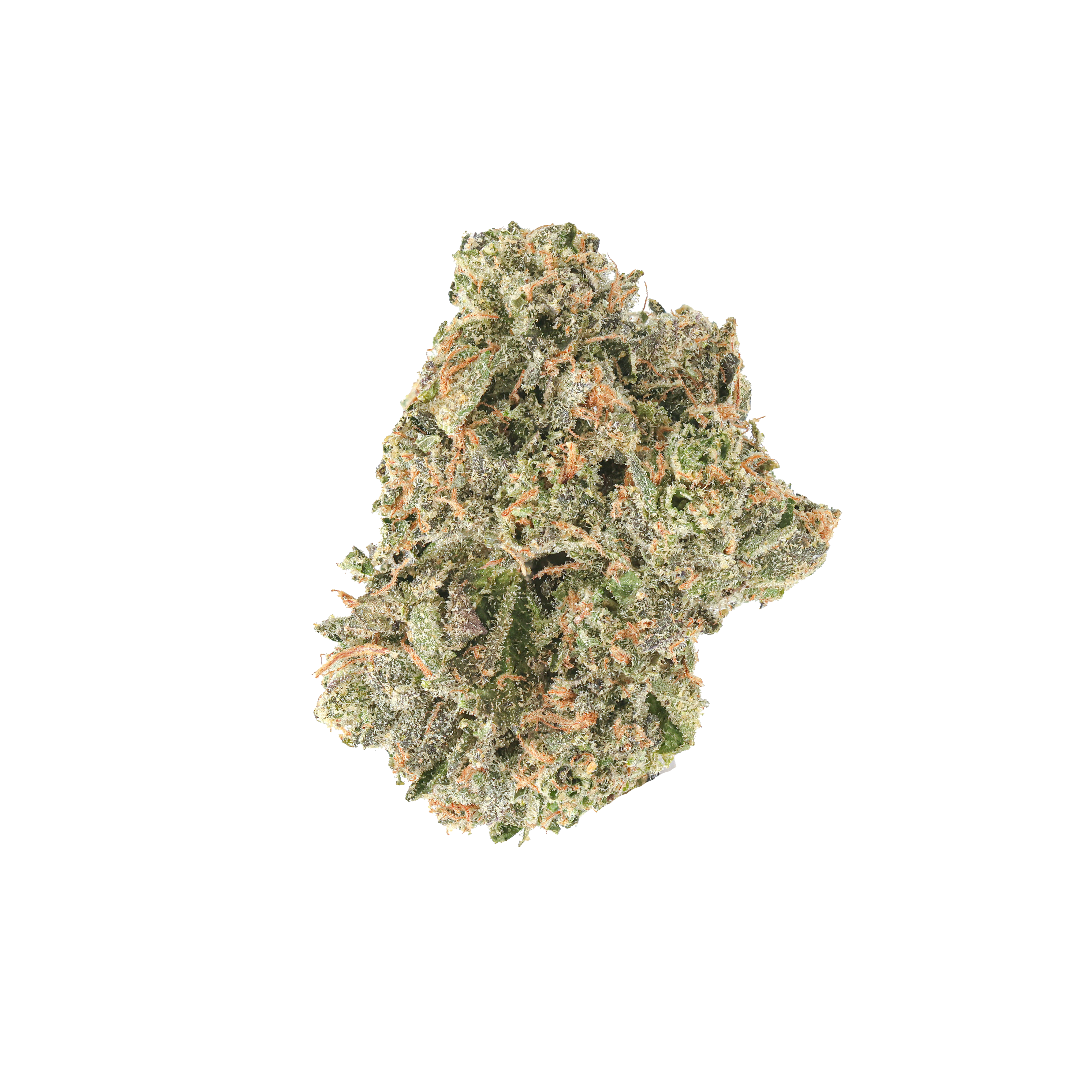 Zlime – SimplyMary