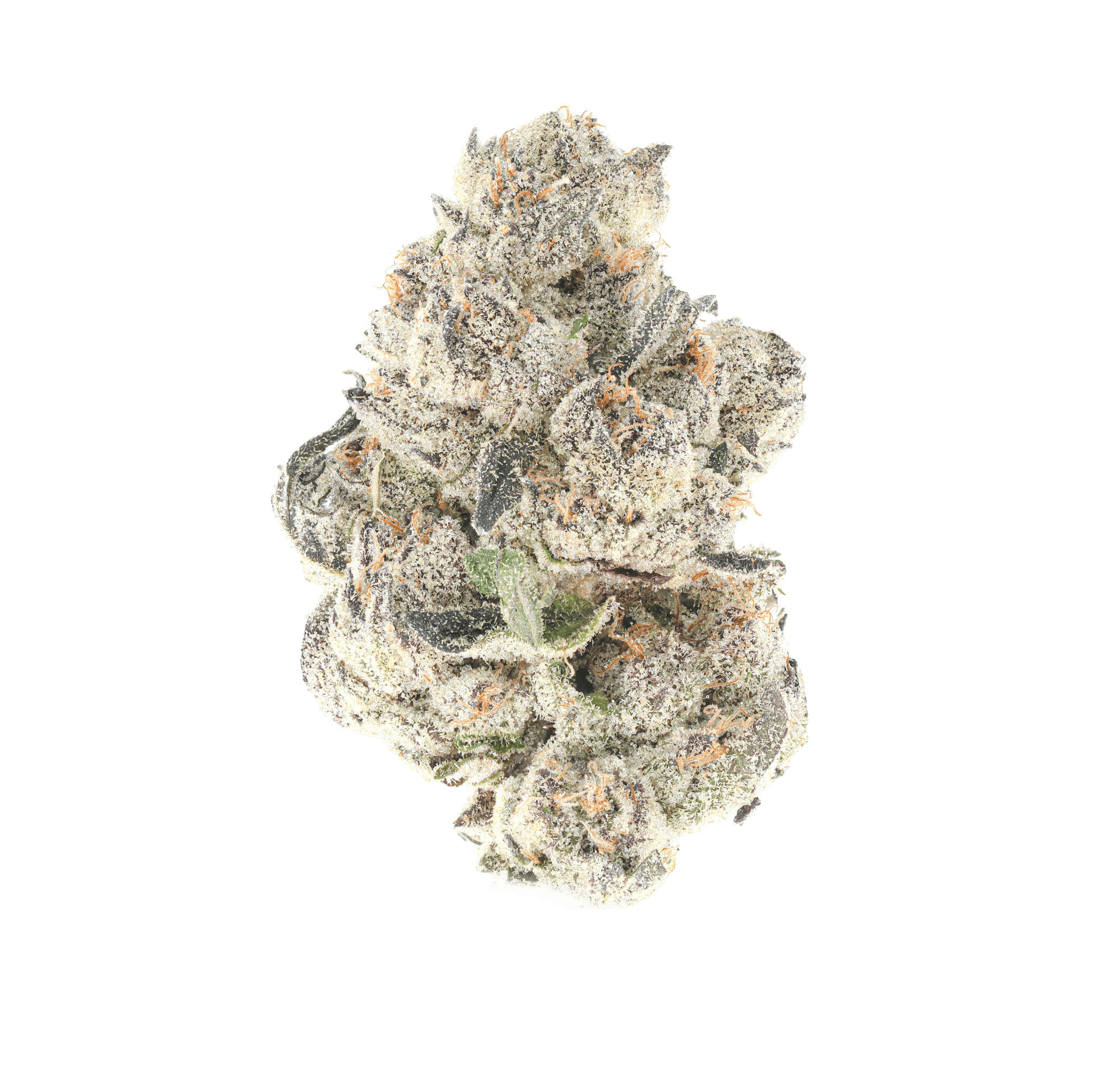 Zour Caviar