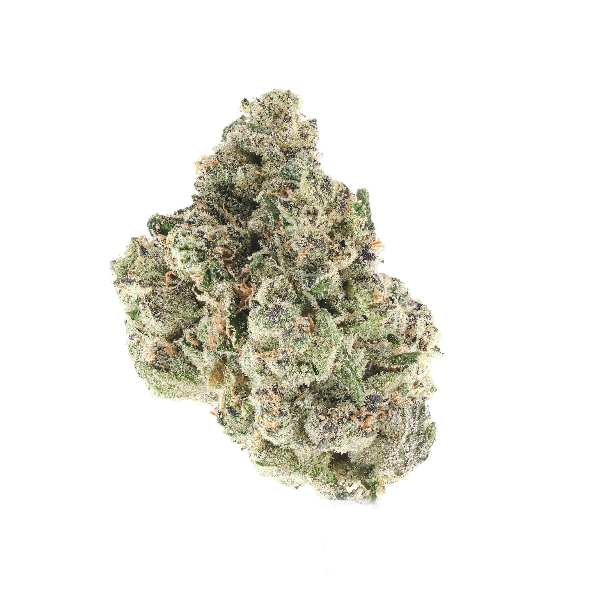 Zour Diesel