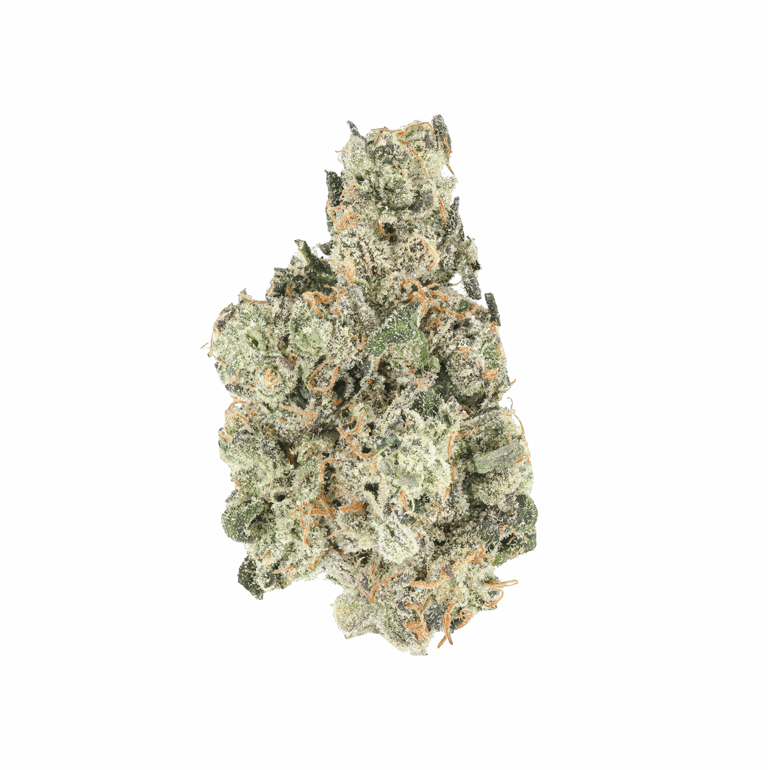Zour