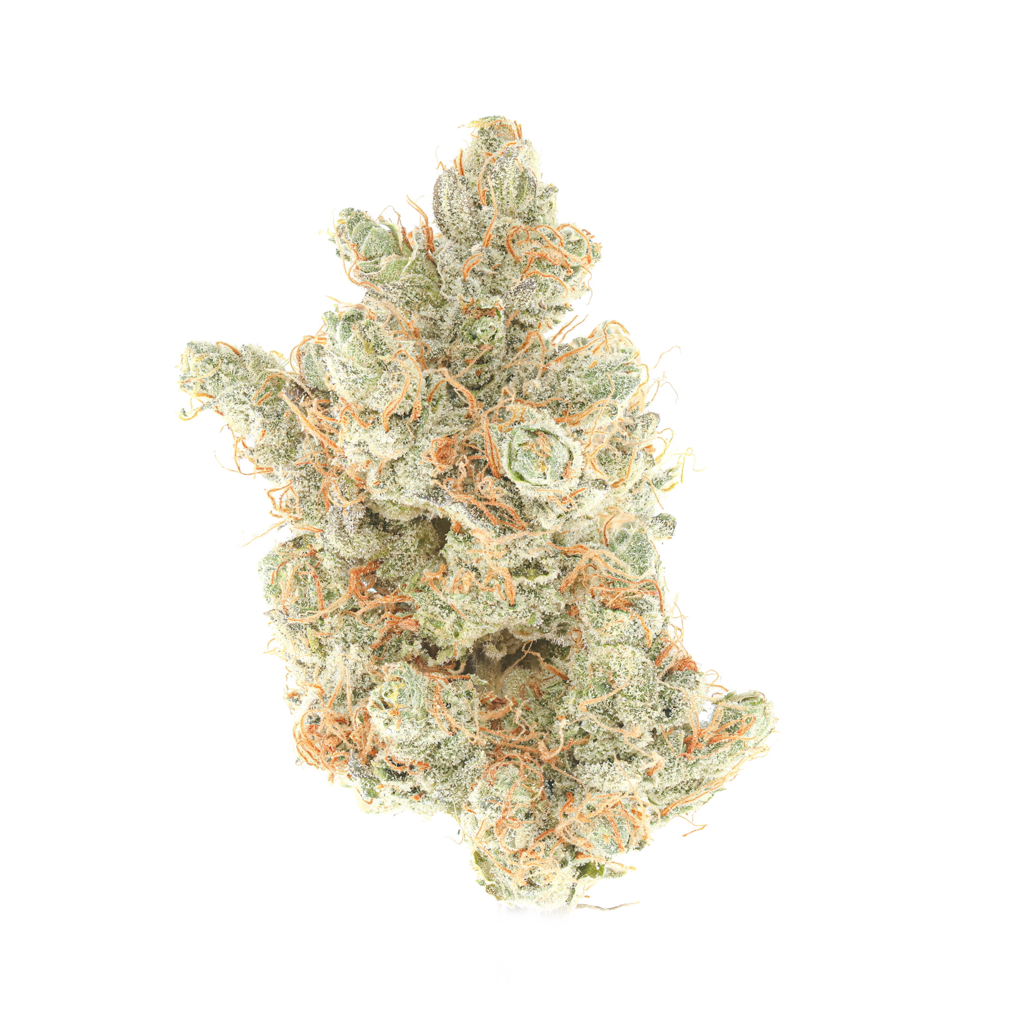 Zour